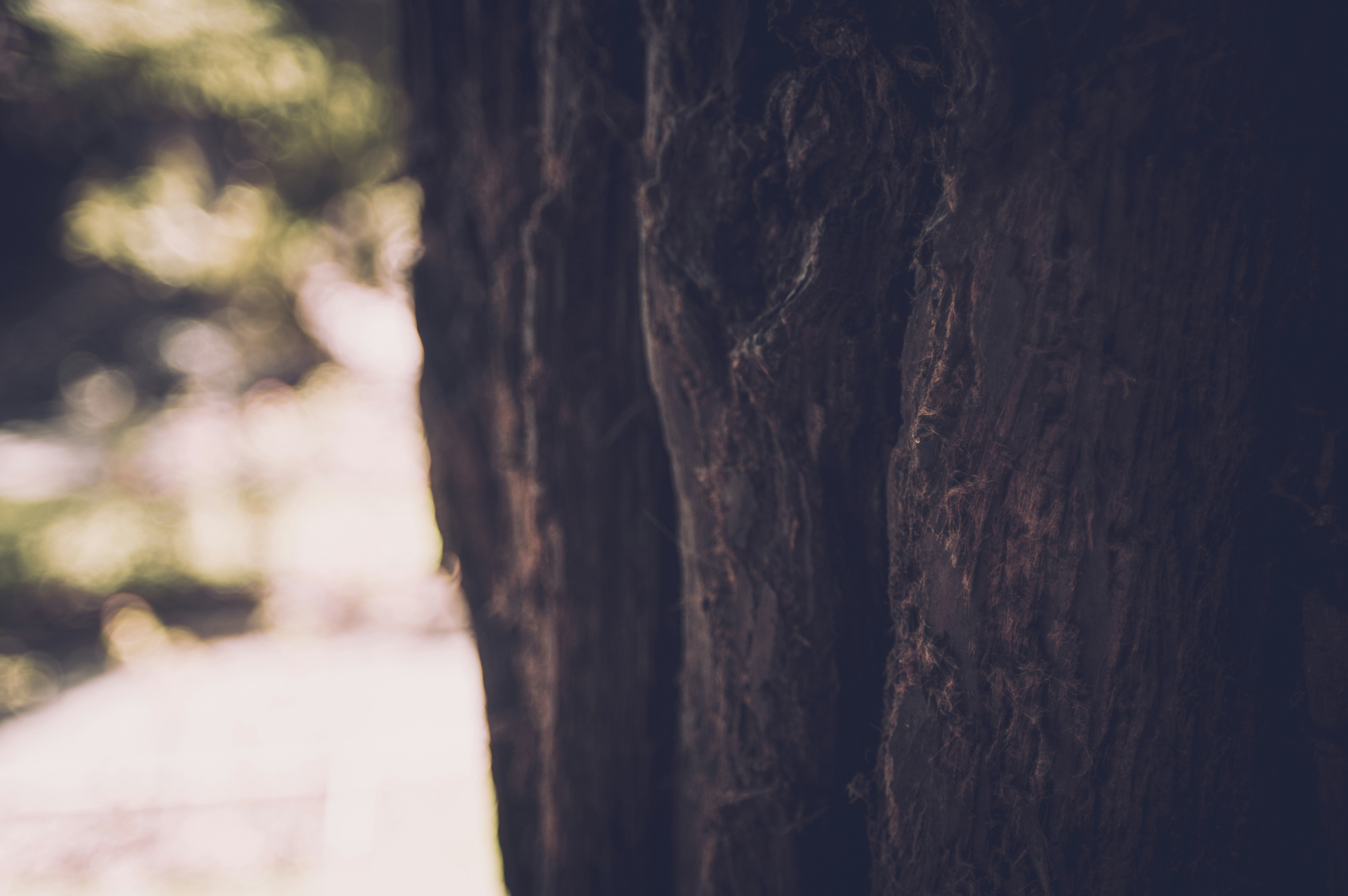 Free Unsplash photo from nerrds