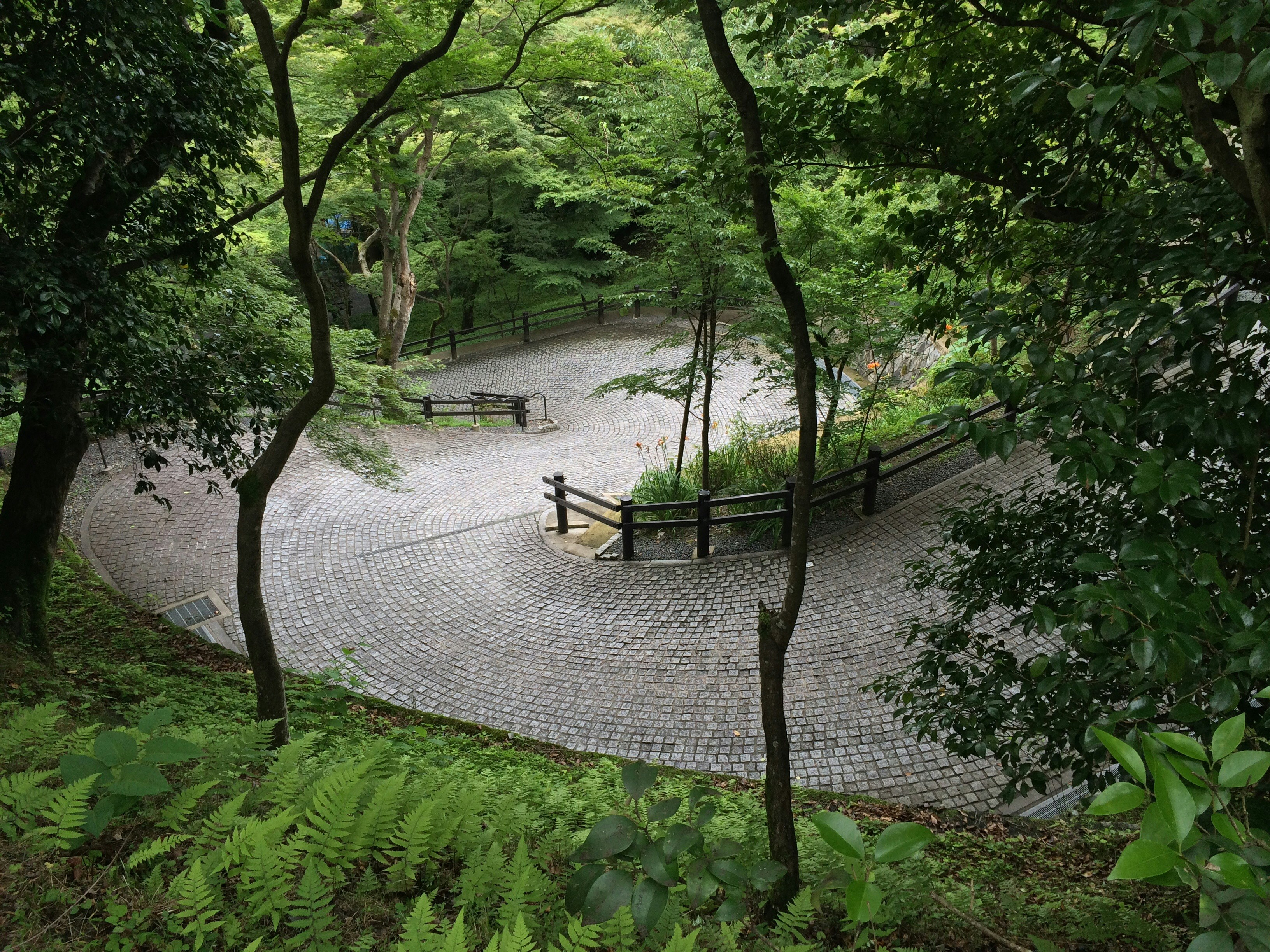 Free Unsplash photo from YinBin Ma