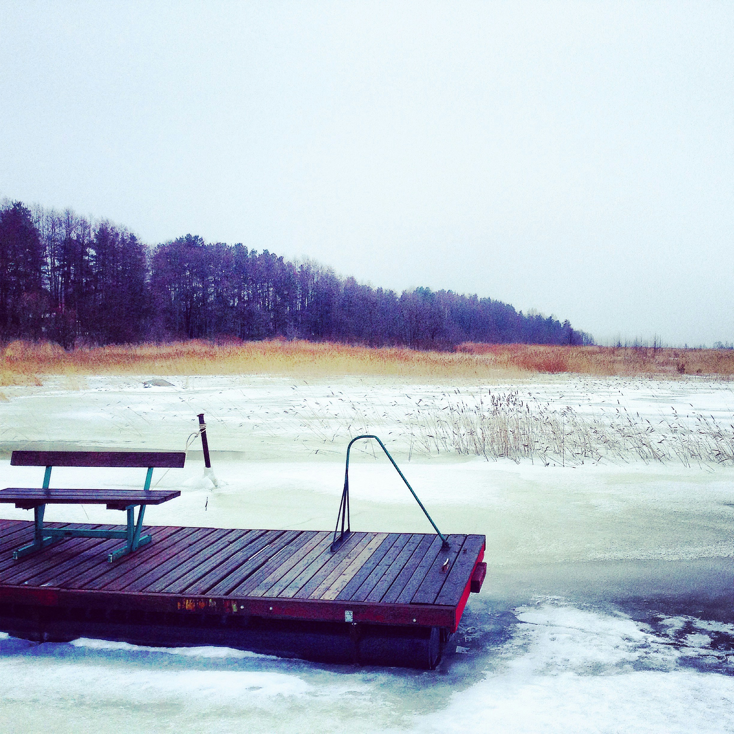 Free Unsplash photo from ira