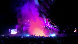 A vibrant outdoor concert scene with families enjoying live music under a clear blue sky.