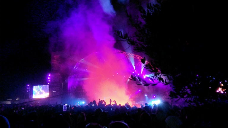 Photo of a lively crowd at an outdoor evening concert with colorful stage lights