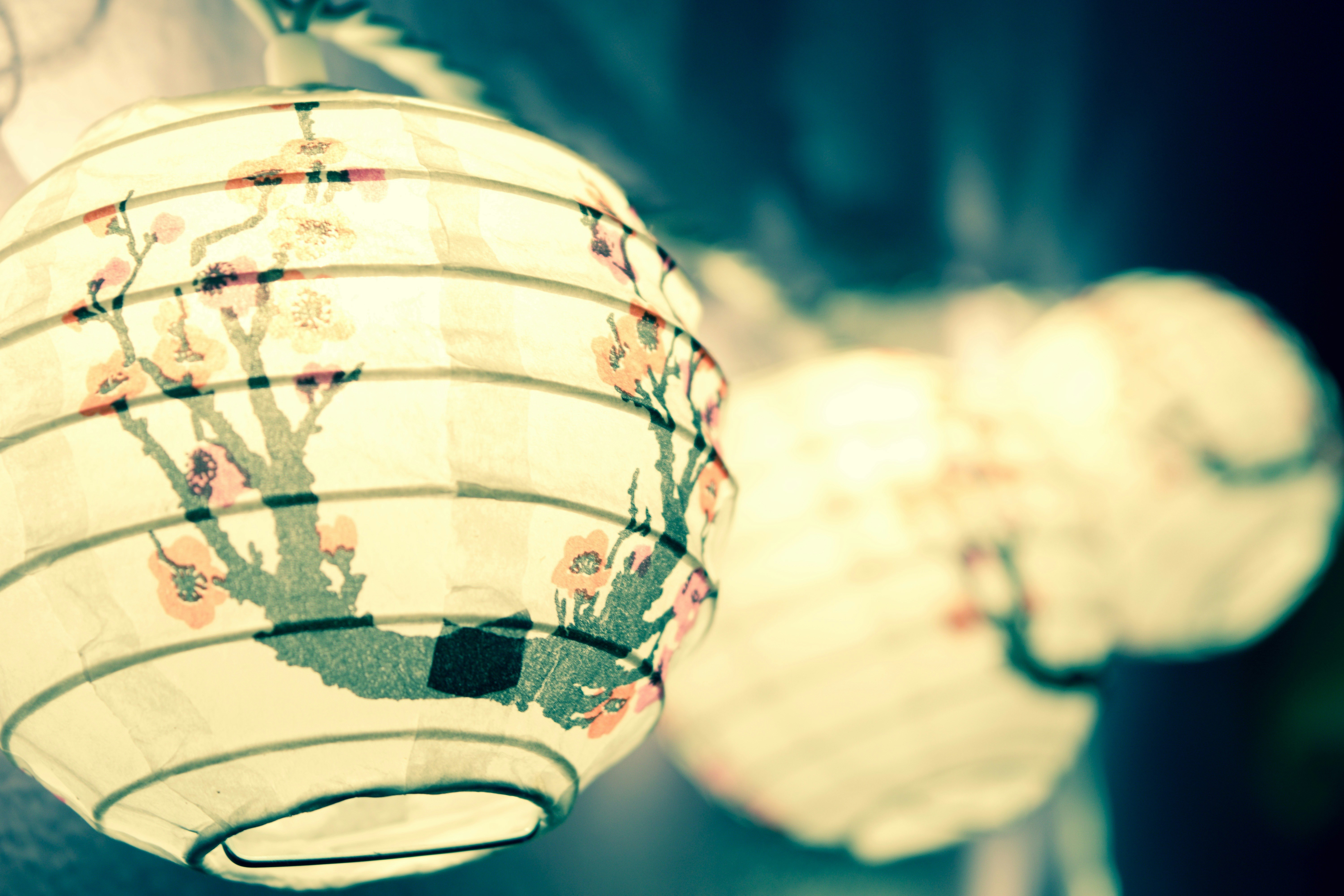 Free Unsplash photo from Shooshanig Berumen