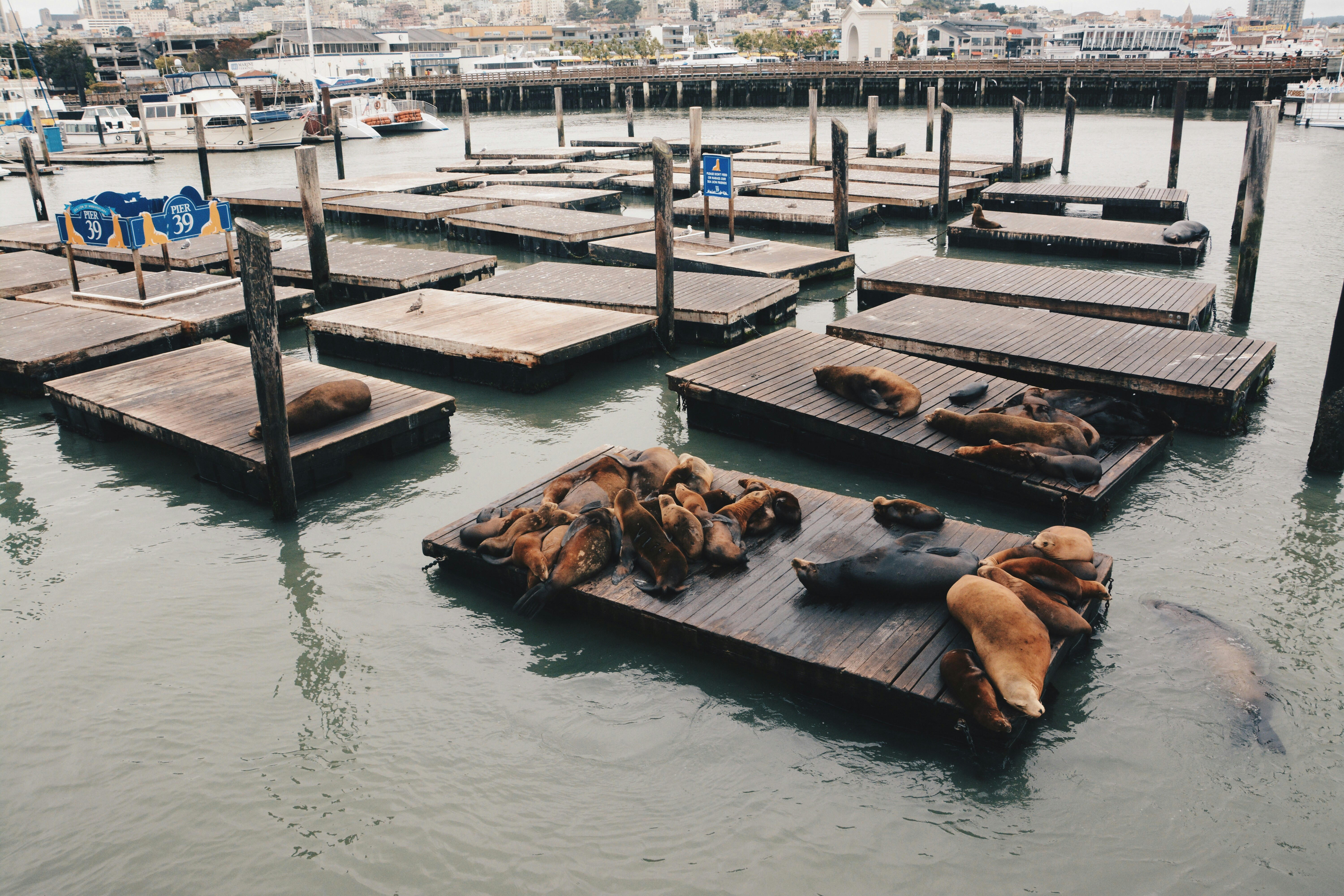 Free Unsplash photo from Daryl Elliott