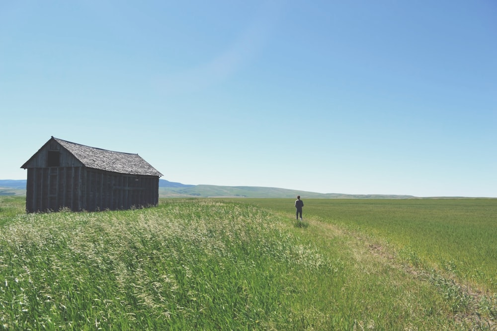 man walking on green grass field during daytime