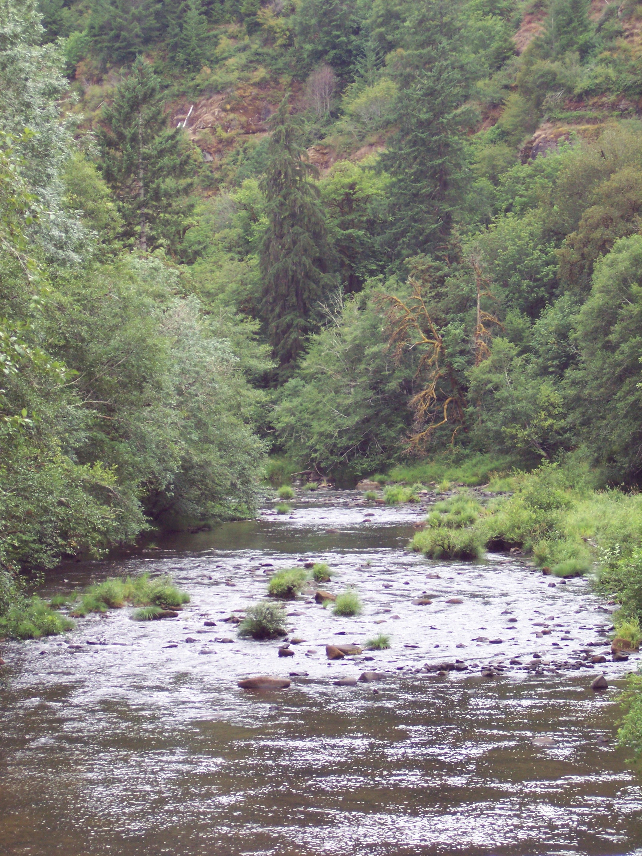 Free Unsplash photo from Val Treanor