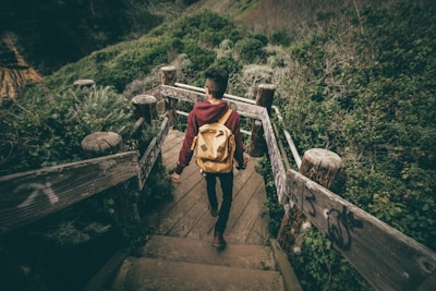 A person with a yellow backpack walks down a wooden stairway surrounded by lush green vegetation. The railings are weathered and have graffiti on them, suggesting this is a well-traveled path. The scene evokes a sense of adventure and exploration, with natural greenery enveloping the landscape.