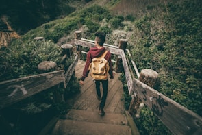 A person with a yellow backpack walks down a wooden stairway surrounded by lush green vegetation. The railings are weathered and have graffiti on them, suggesting this is a well-traveled path. The scene evokes a sense of adventure and exploration, with natural greenery enveloping the landscape.