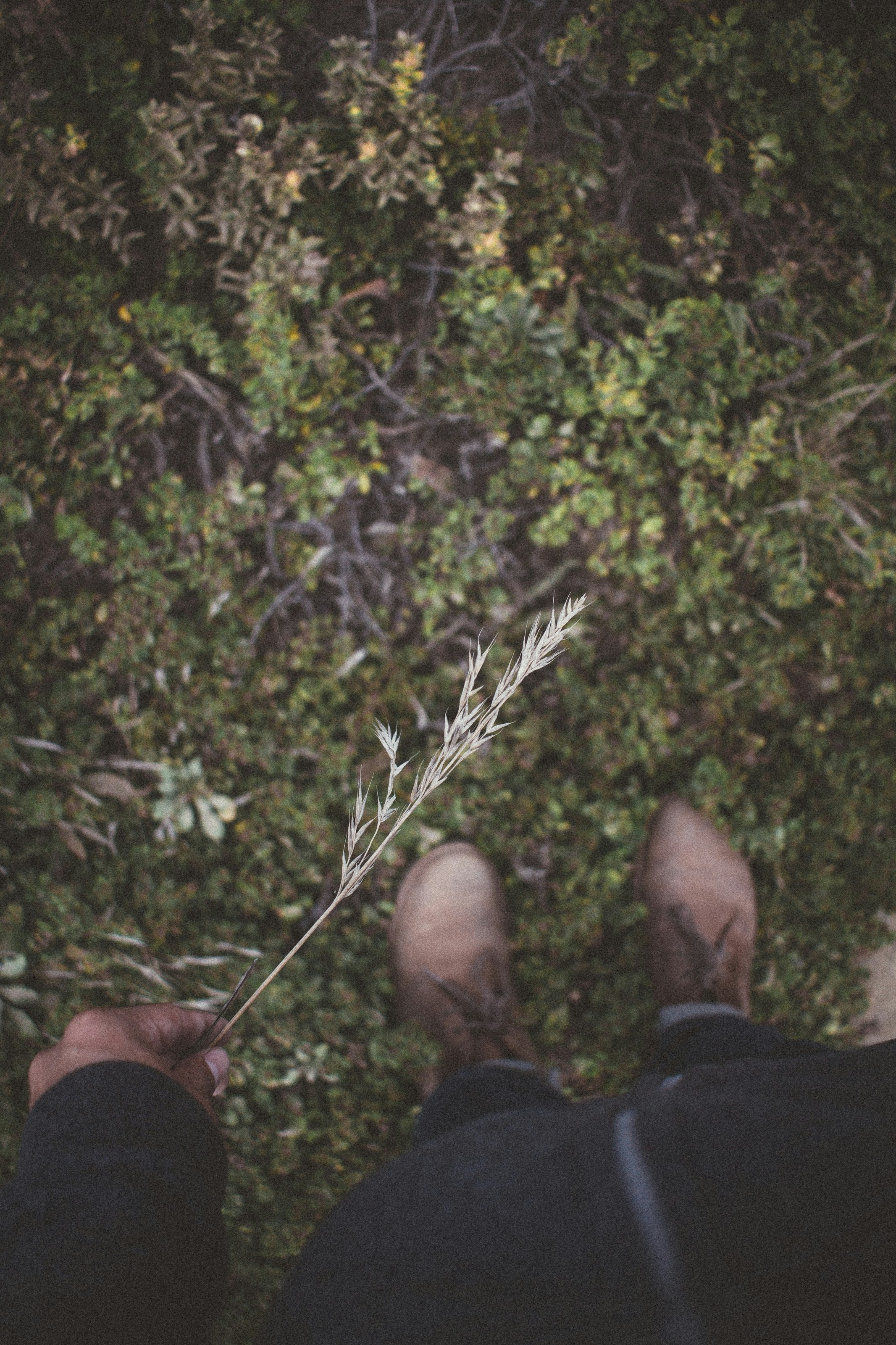 Free Unsplash photo from Aaron  Alvarado