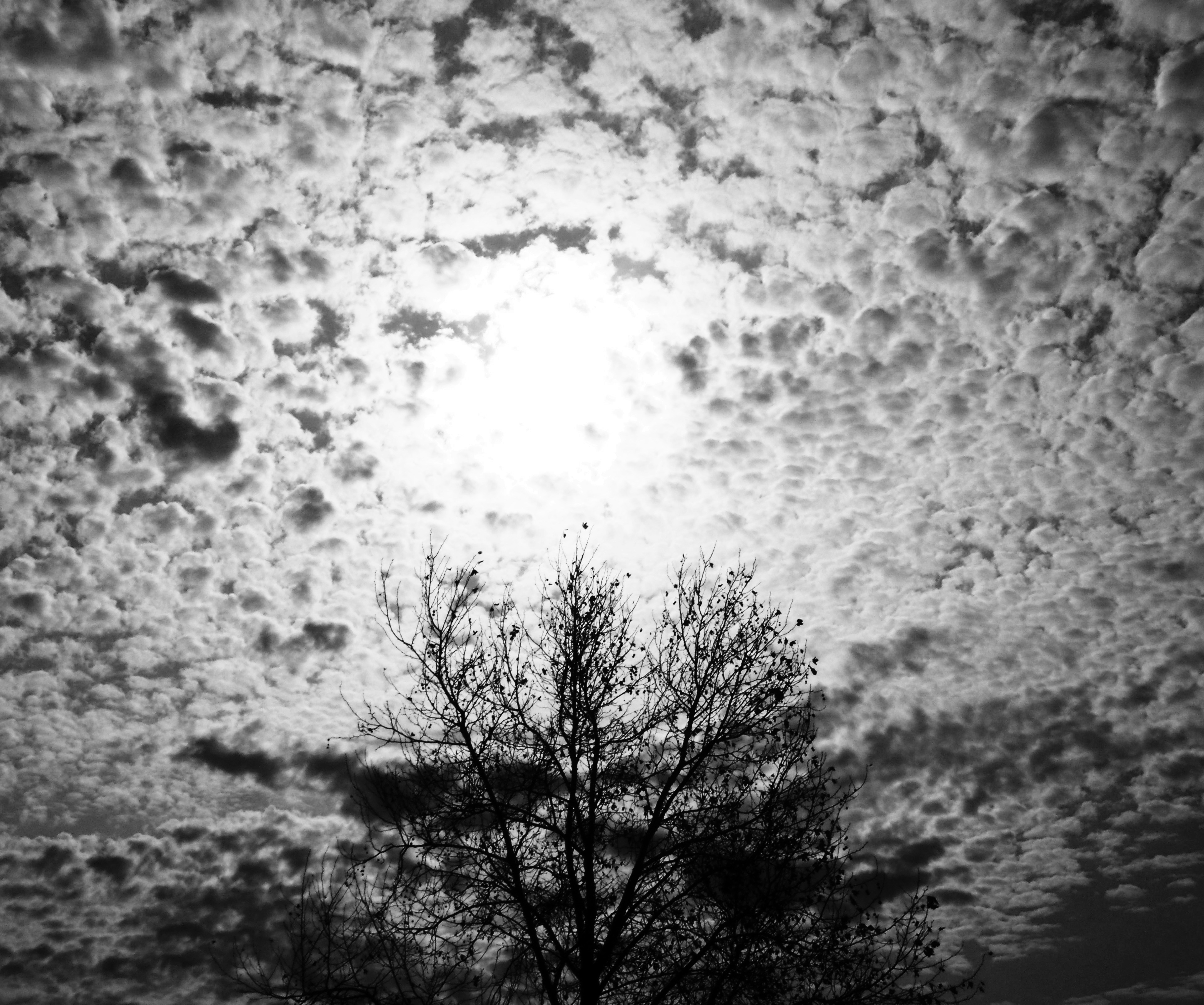 Free Unsplash photo from Shooshanig Berumen