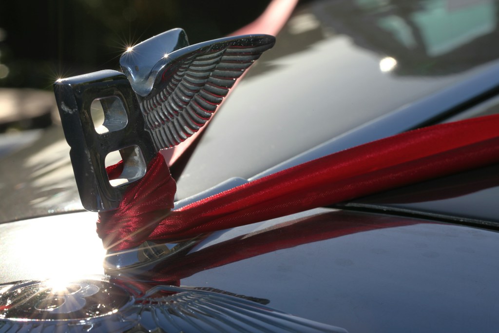 Chrome Emblem Badge