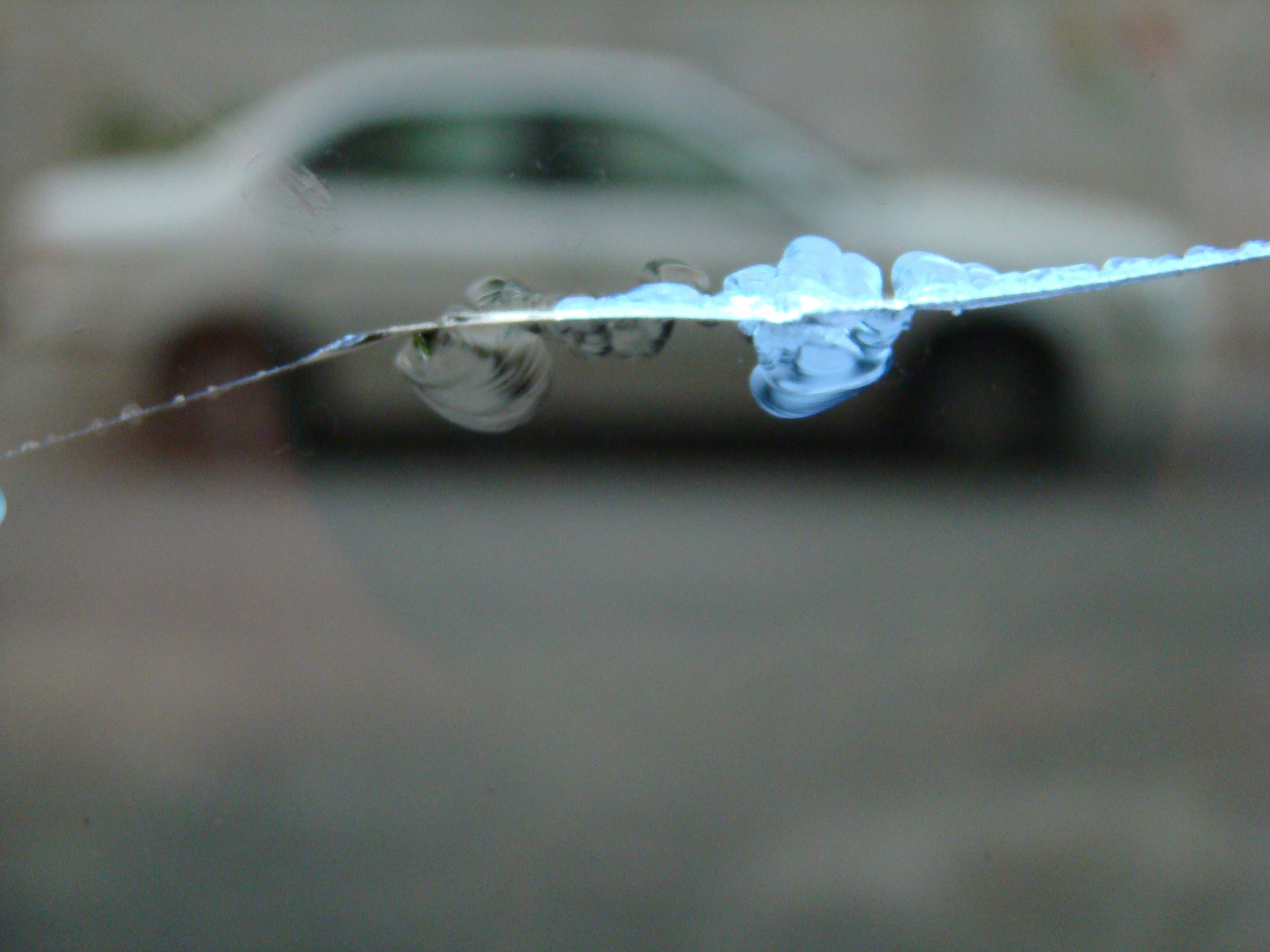 Free Unsplash photo from Elnaz Ghorrati