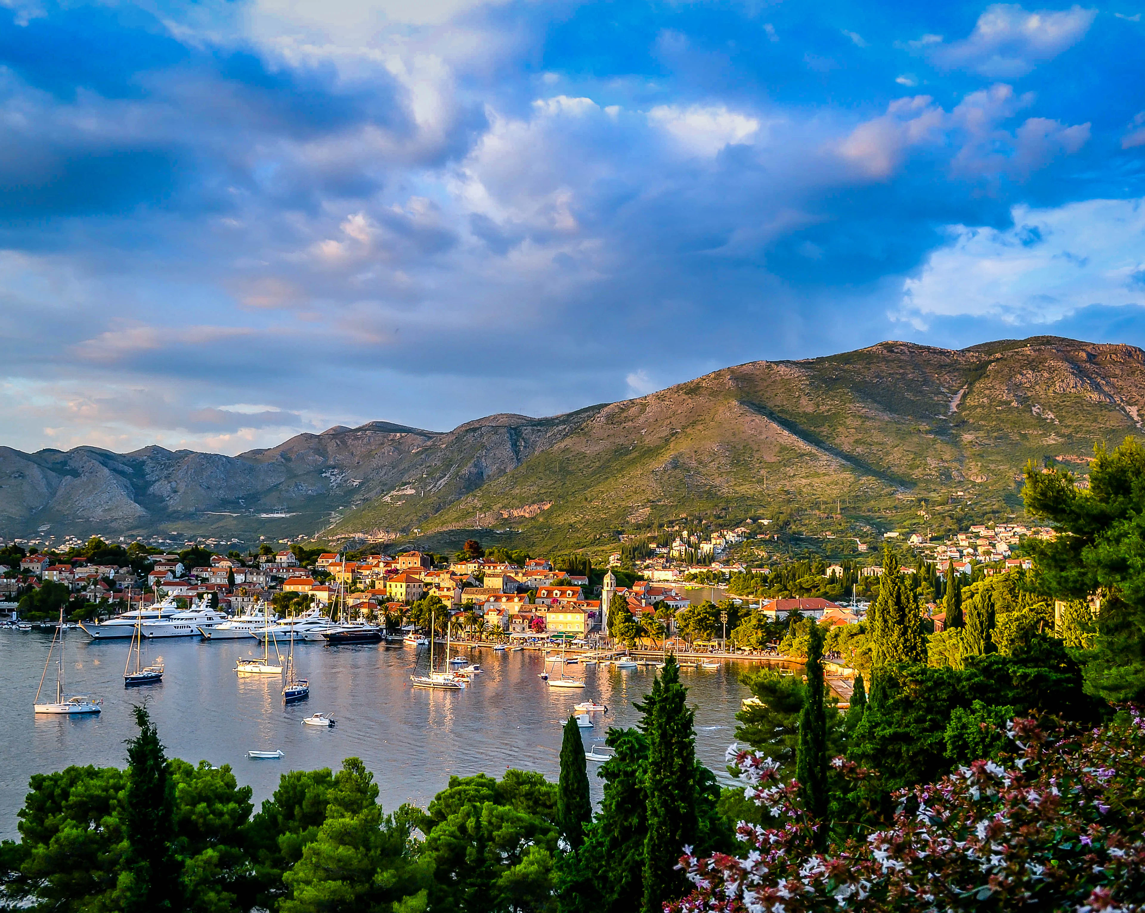 Evening light over the harbour at Cavtat south of Dubrovnik, yachts and sailing boats moored below red-roofed houses and a church tower, with the bare Konavle mountains behind and cypresses in the foreground.