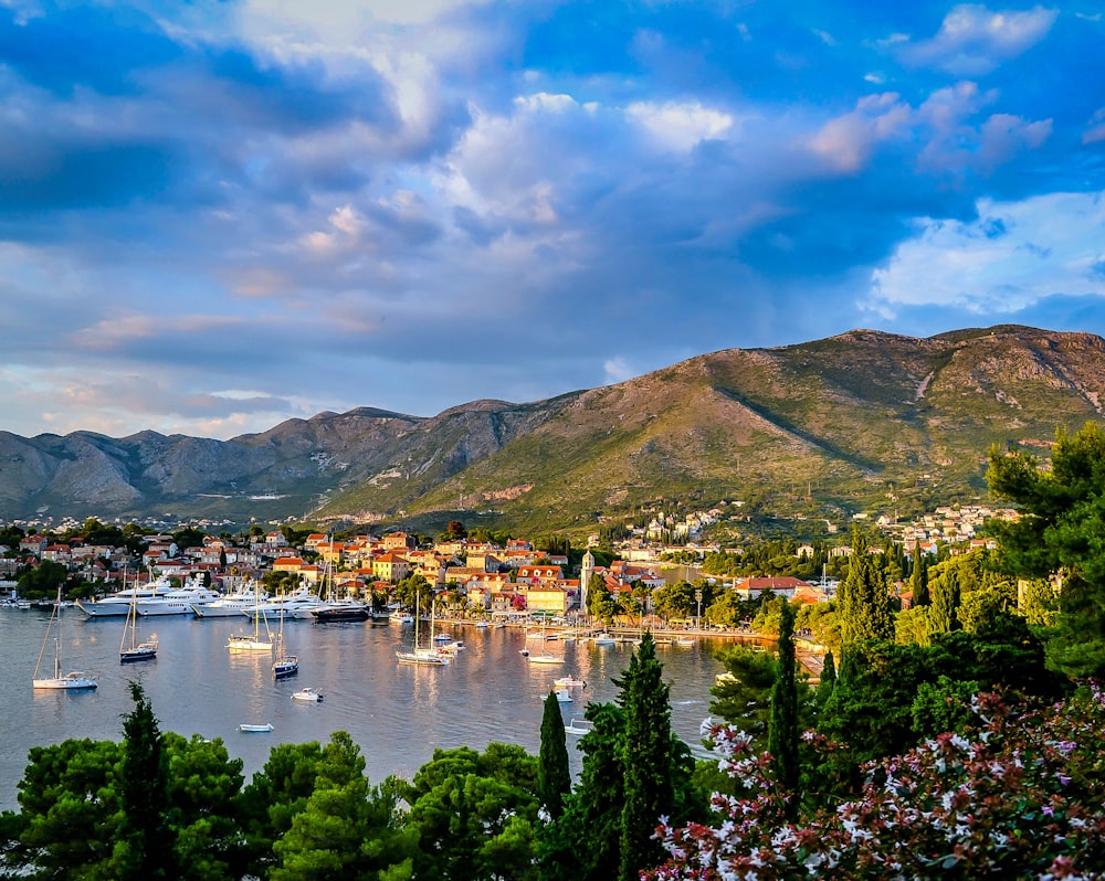 Day Trips from Dubrovnik