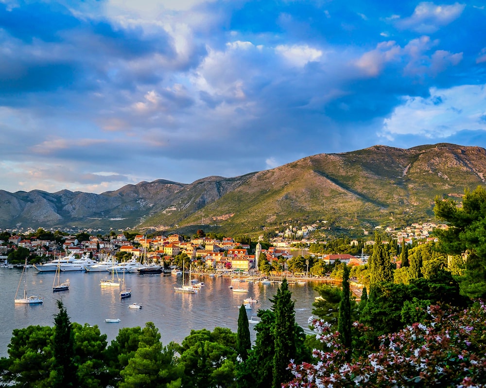 boats on body of water surrounded by trees and houses near mountain under blue and white sky at daytime