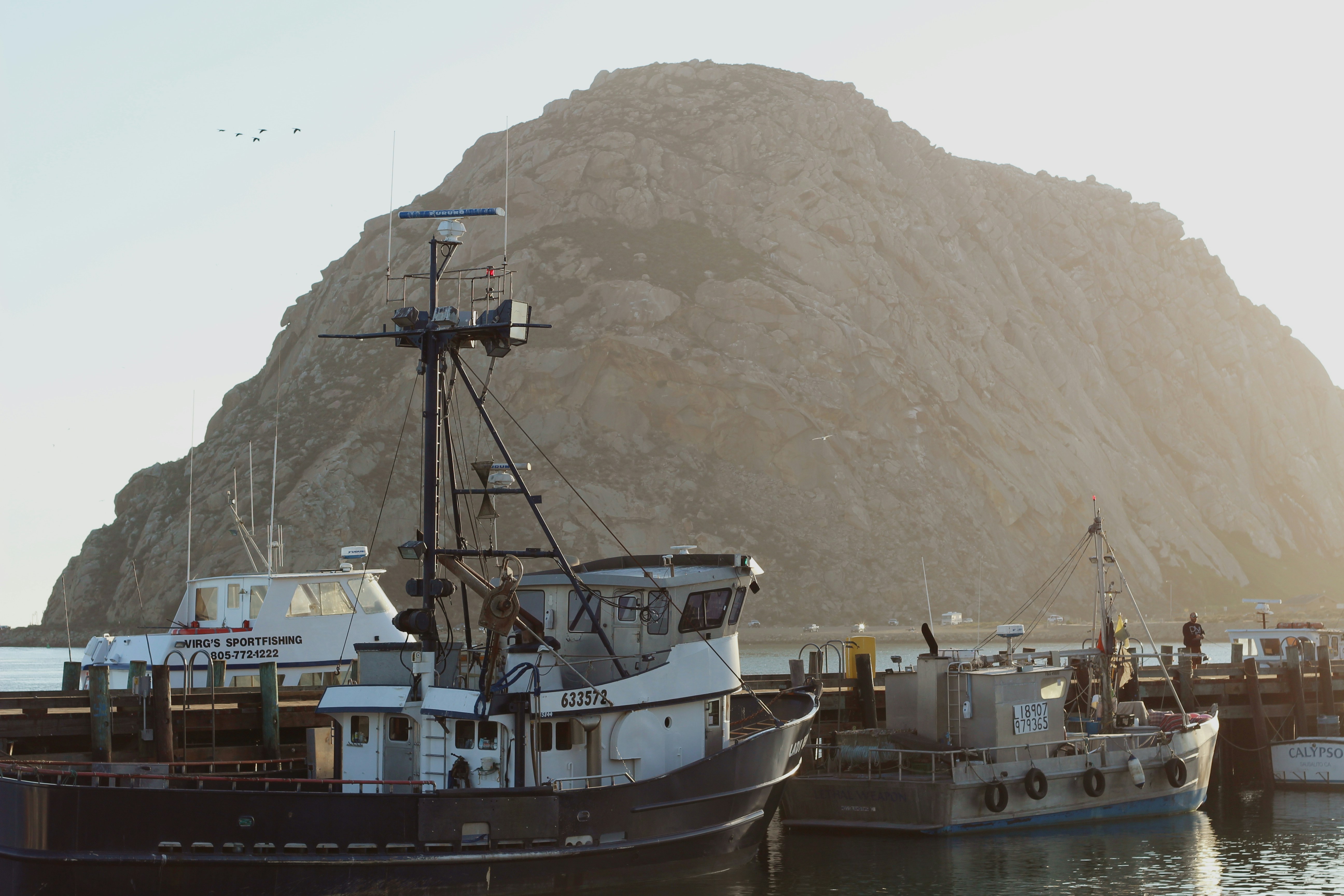 Free Unsplash photo from Katherine Murphy