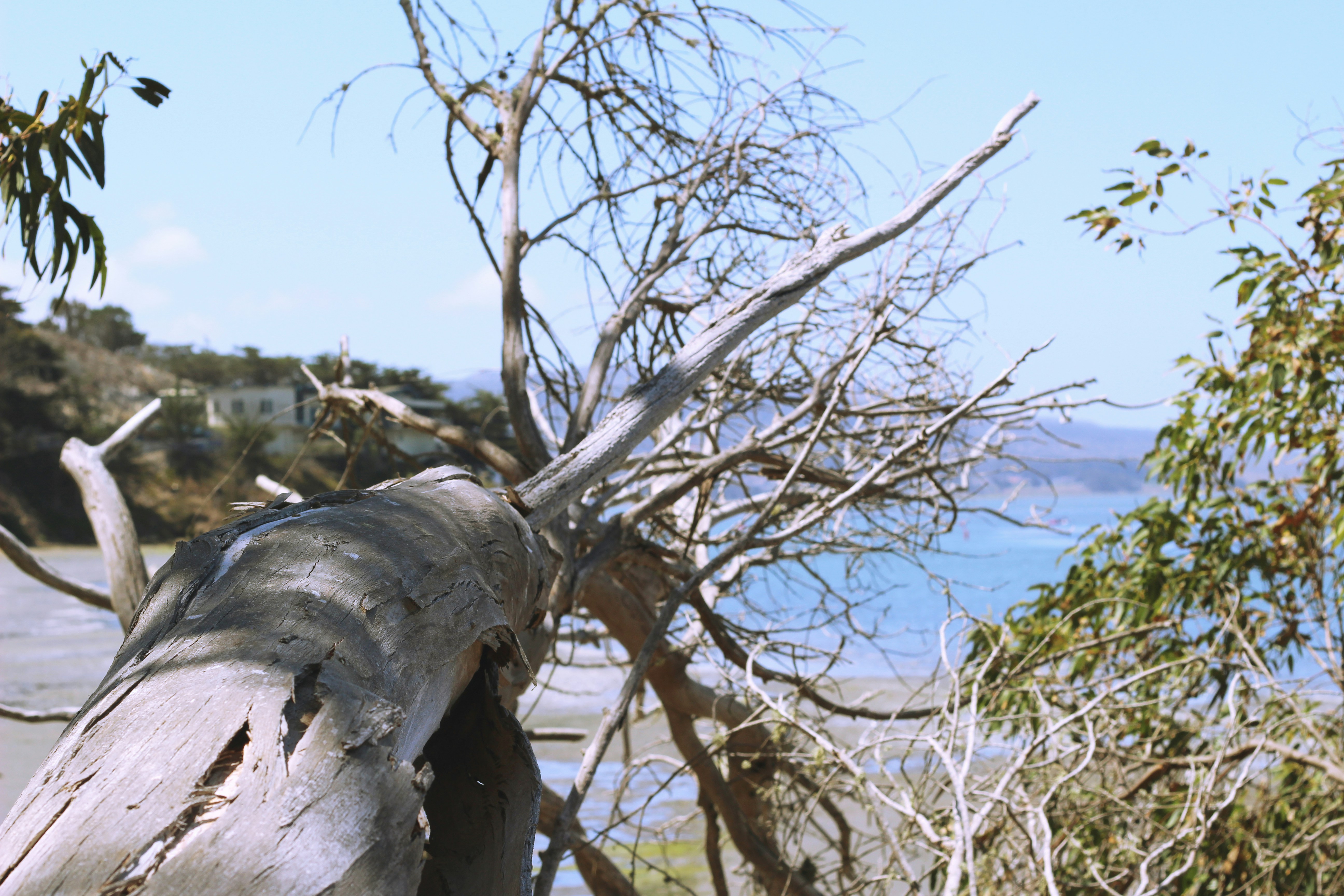 Free Unsplash photo from Katherine Murphy