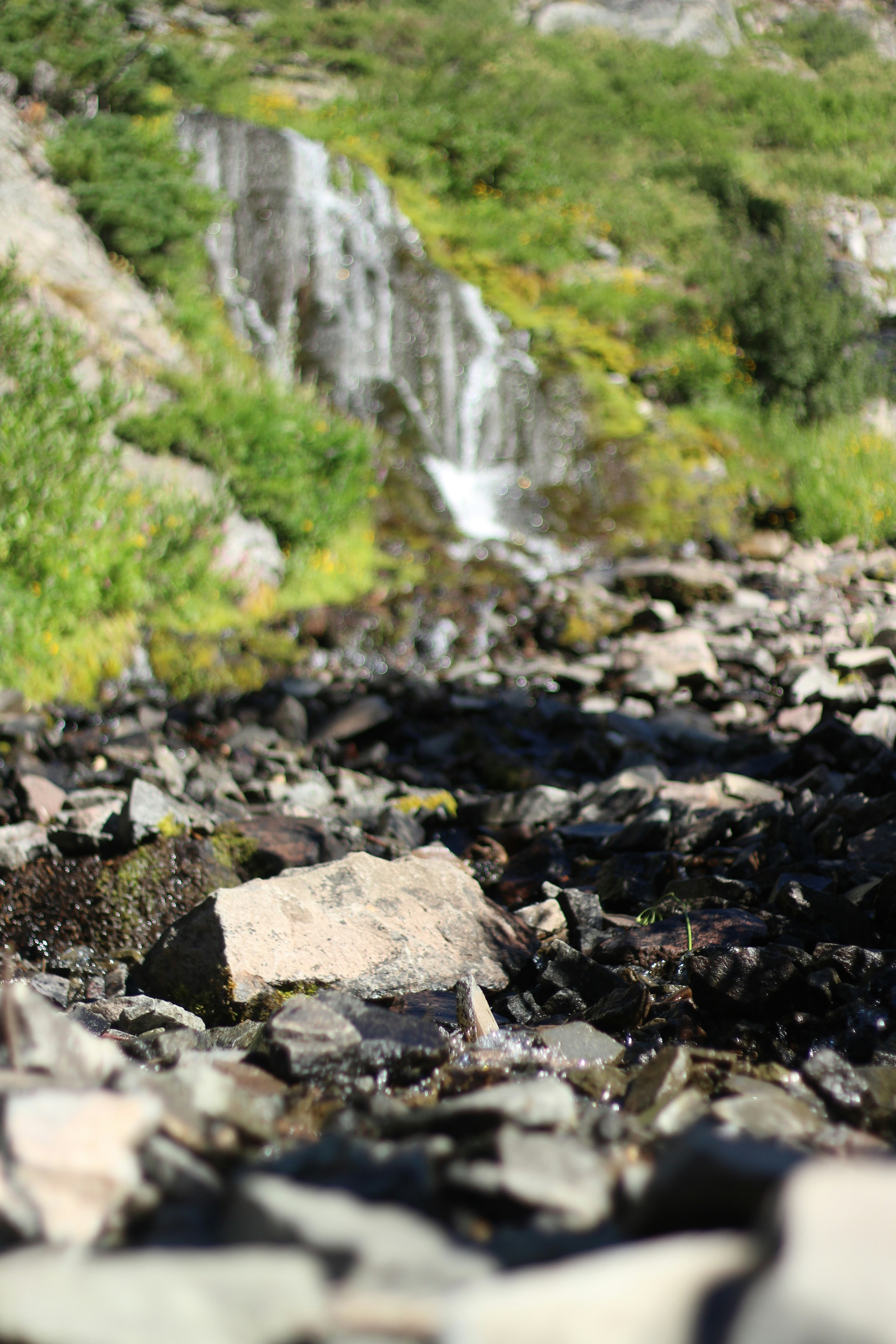 Free Unsplash photo from Katherine Murphy