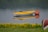 A yellow kayak is floating on a calm body of water, reflected smoothly on the surface. Next to the kayak, a large red buoy is visible. In the foreground, a strip of green grass is dotted with small yellow flowers, and the edge of another boat is partially visible.