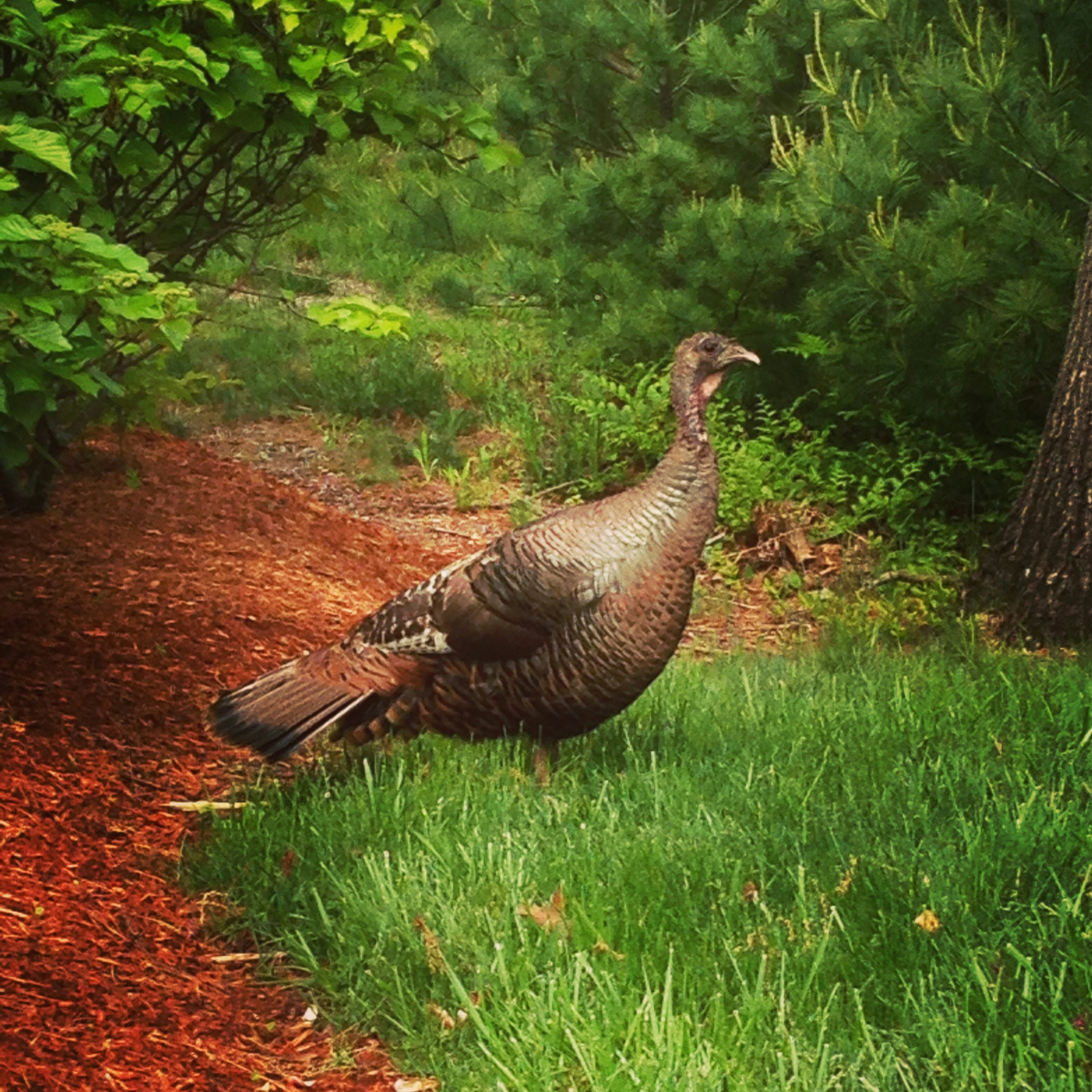 Free Unsplash photo from Leah Weinstein