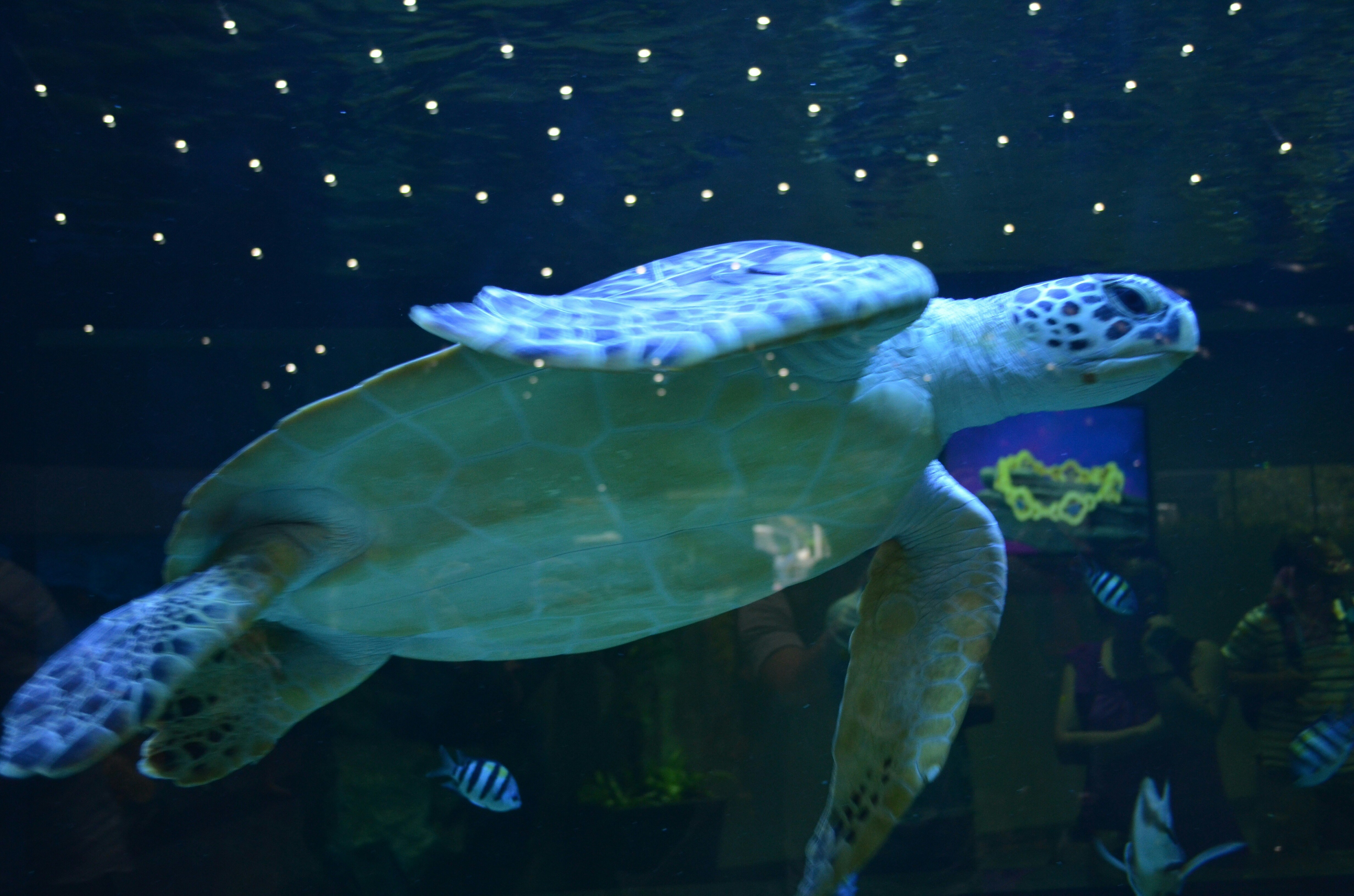 Free Unsplash photo from Leah Weinstein