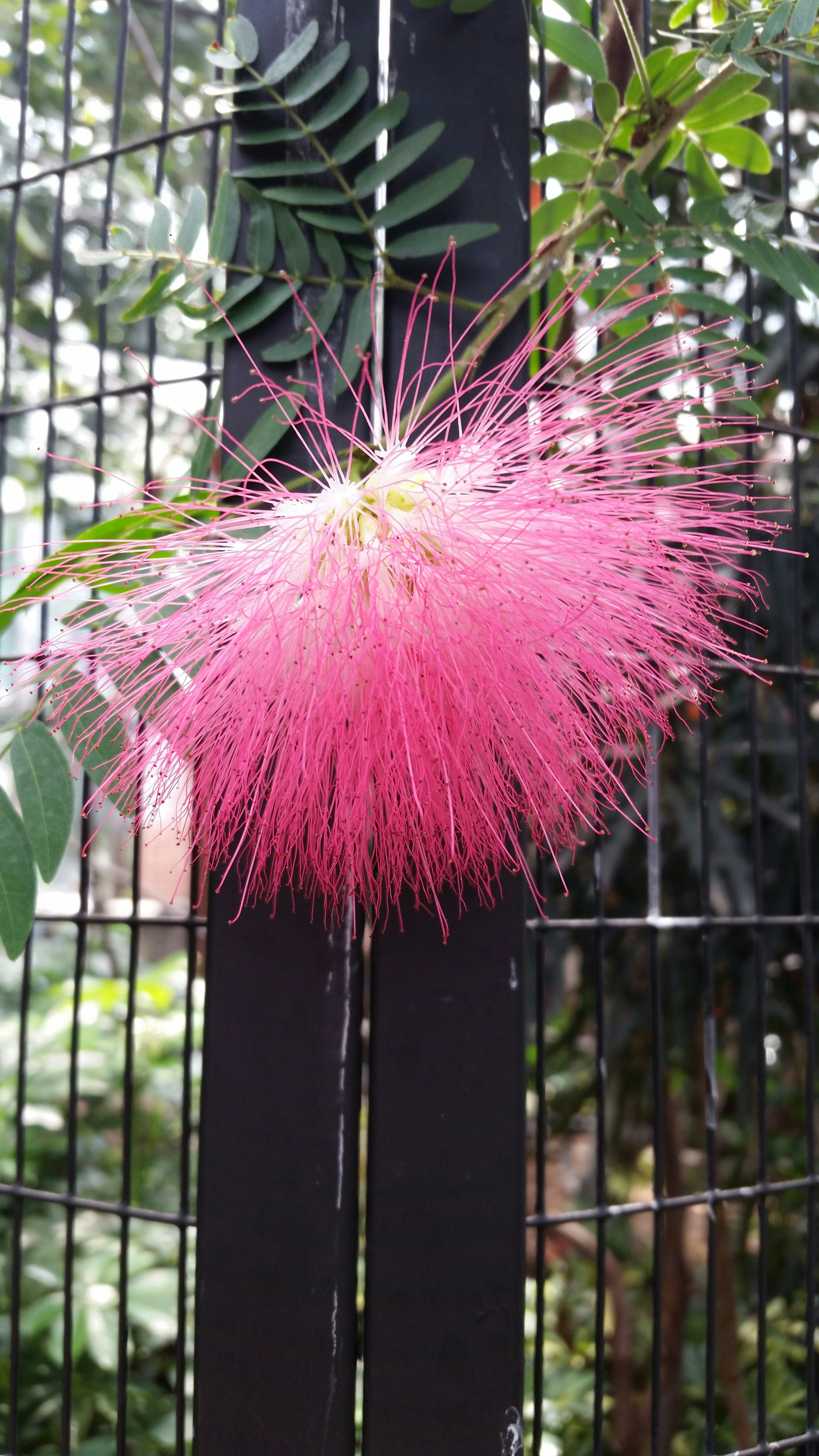 Free Unsplash photo from Leah Weinstein