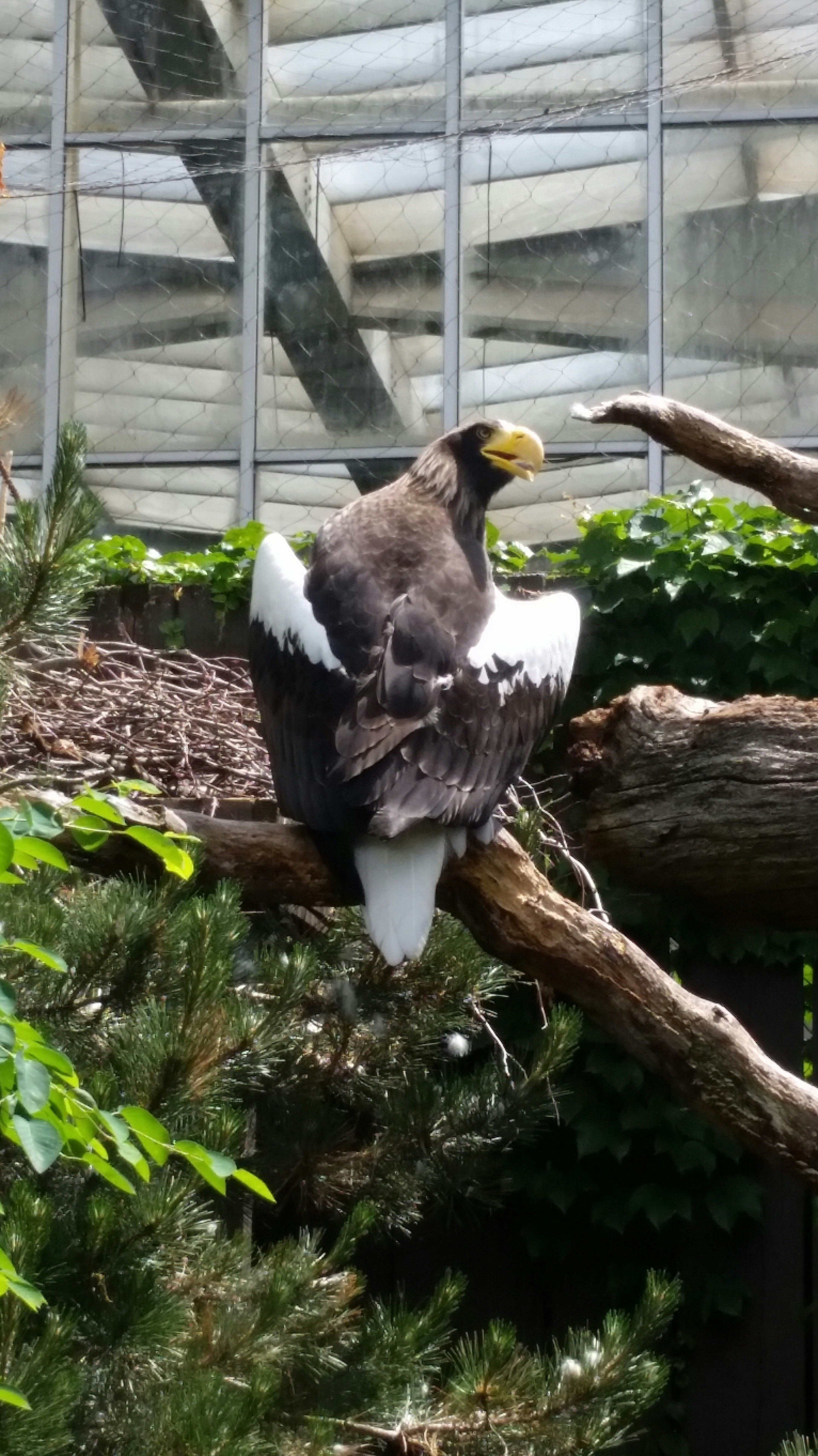 Free Unsplash photo from Leah Weinstein