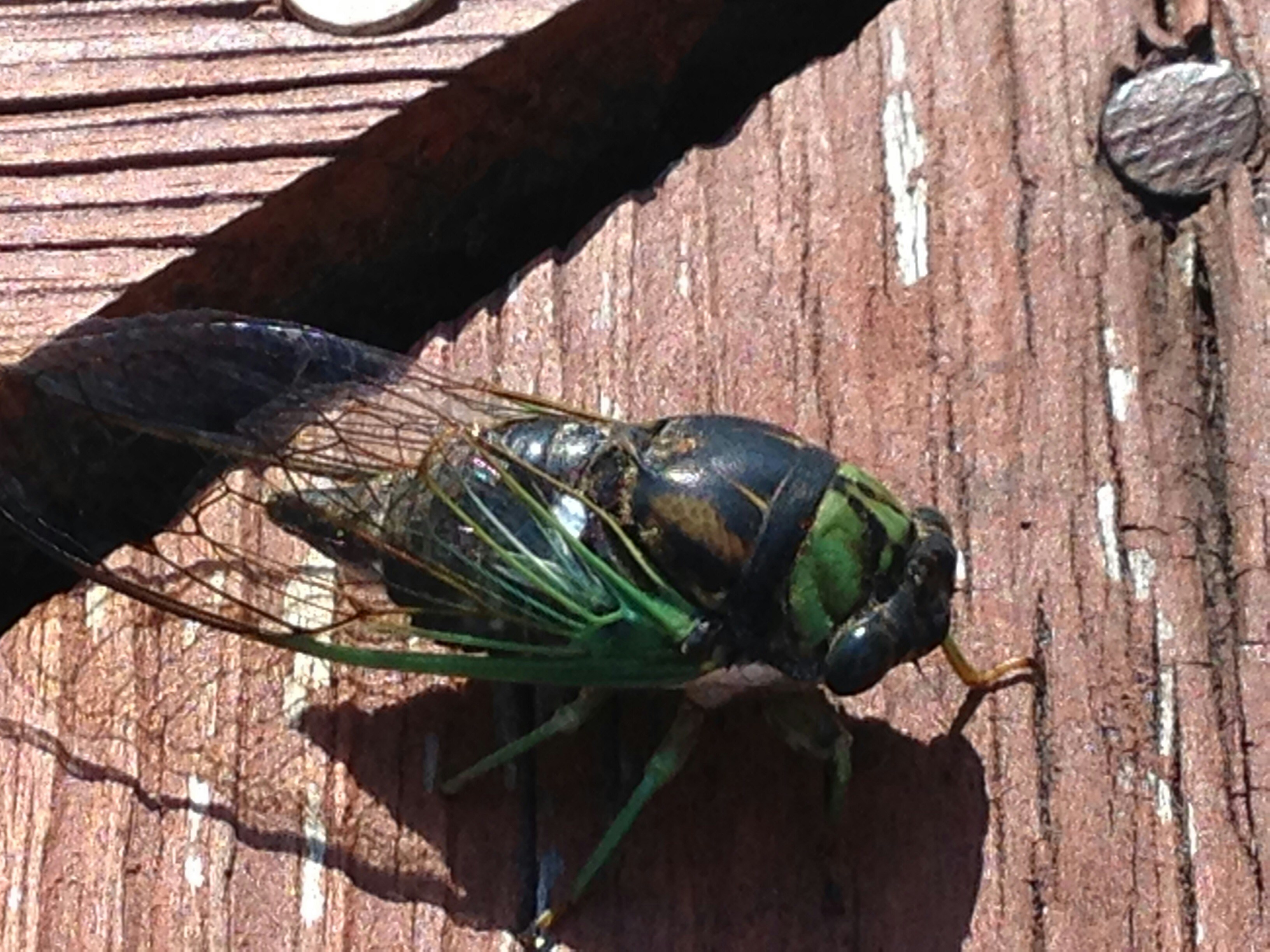 Free Unsplash photo from Leah Weinstein