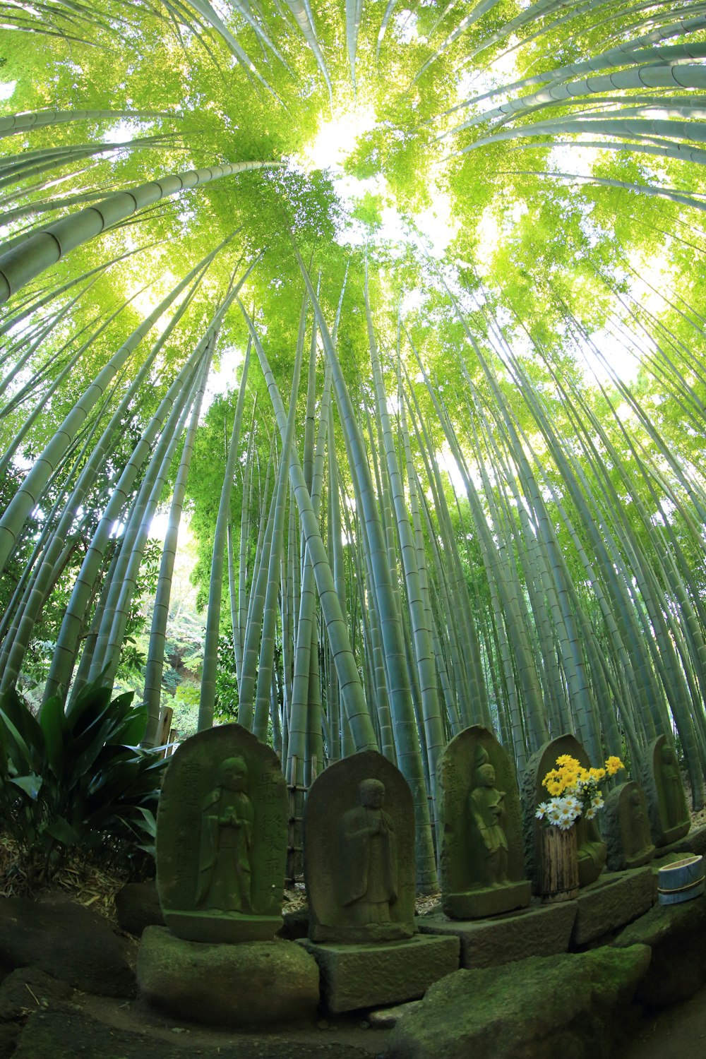 statues under bamboo trees