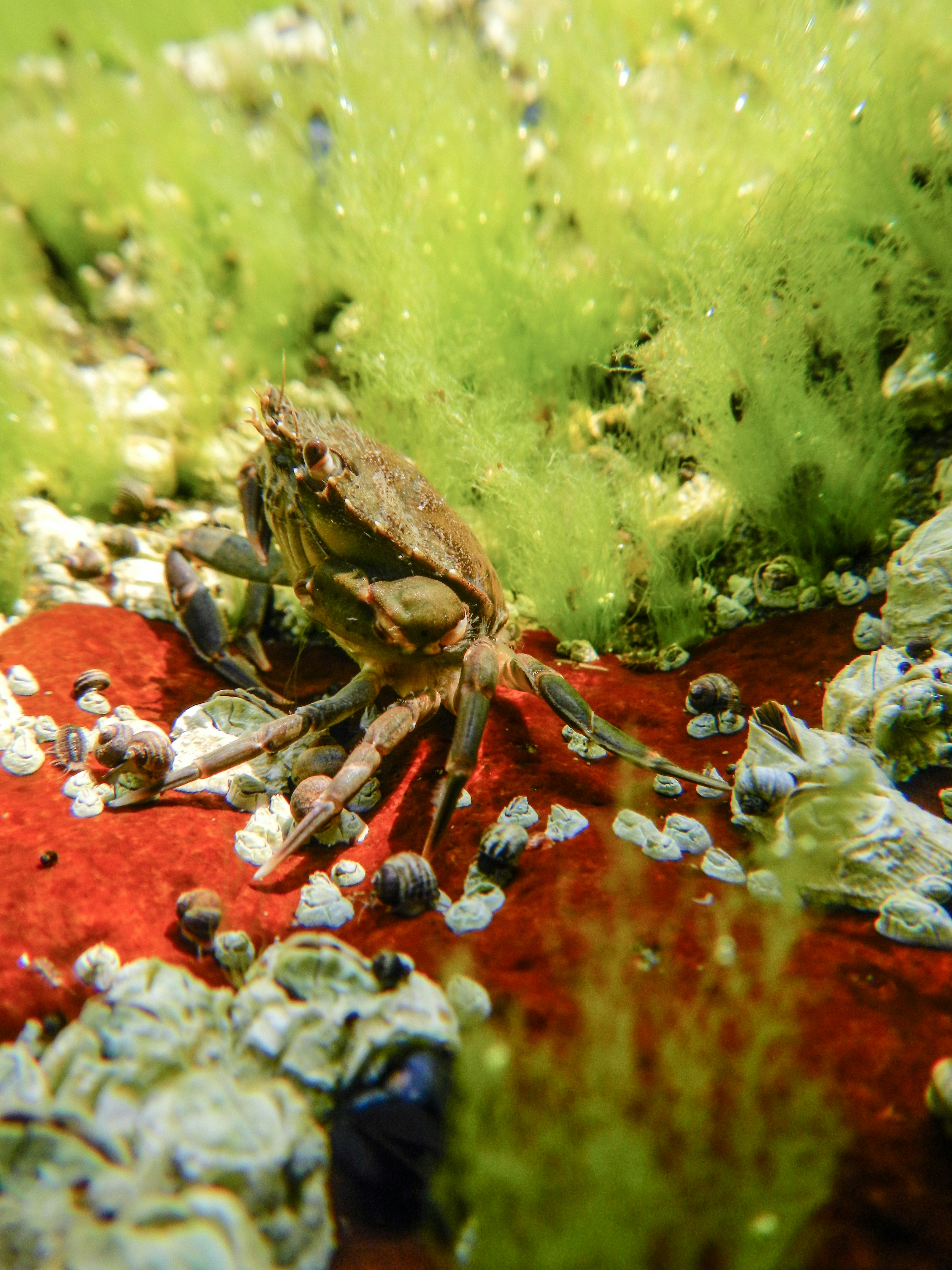 Free Unsplash photo from kelsey grossmann