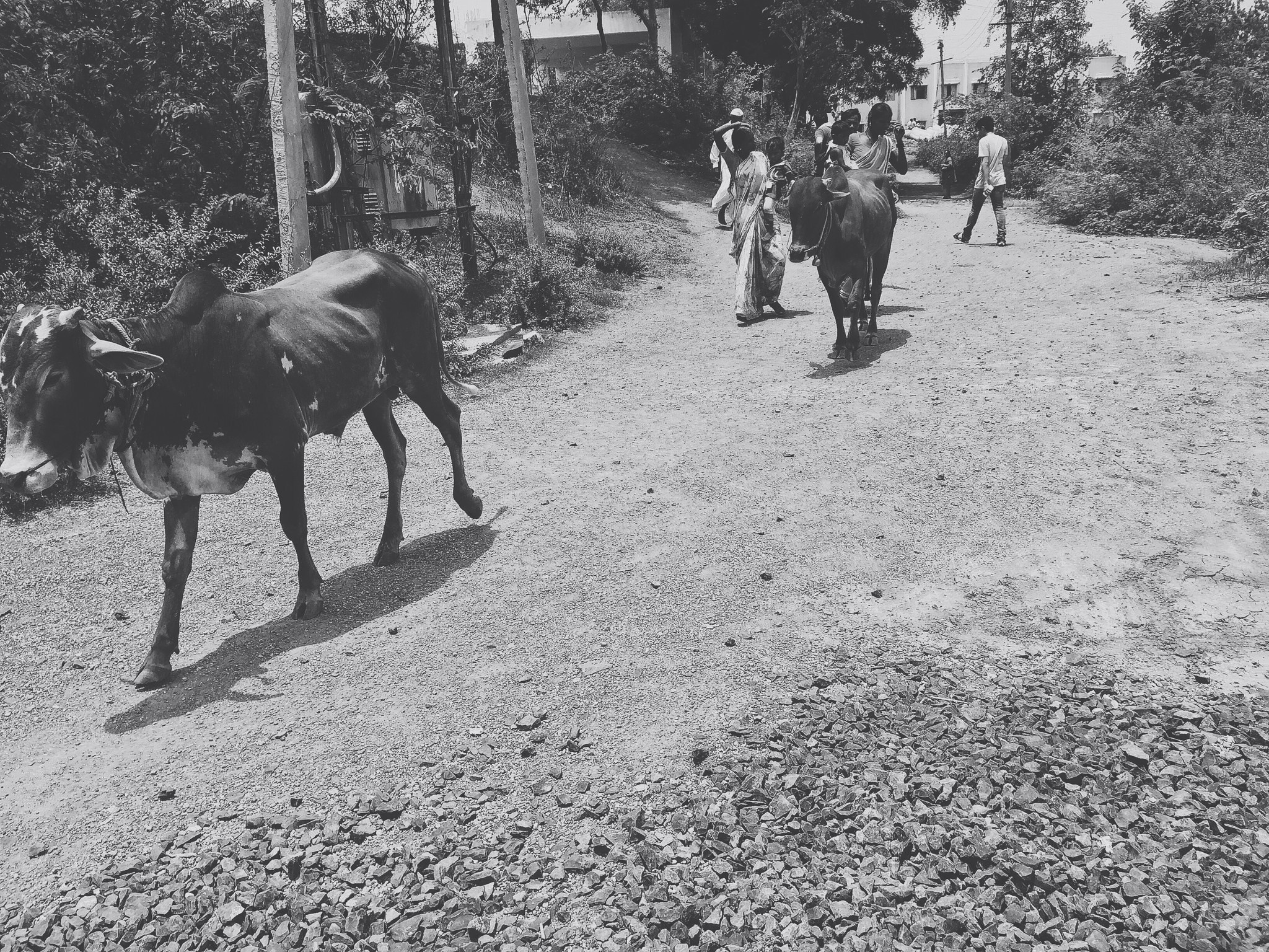 Free Unsplash photo from Latish Khubnani