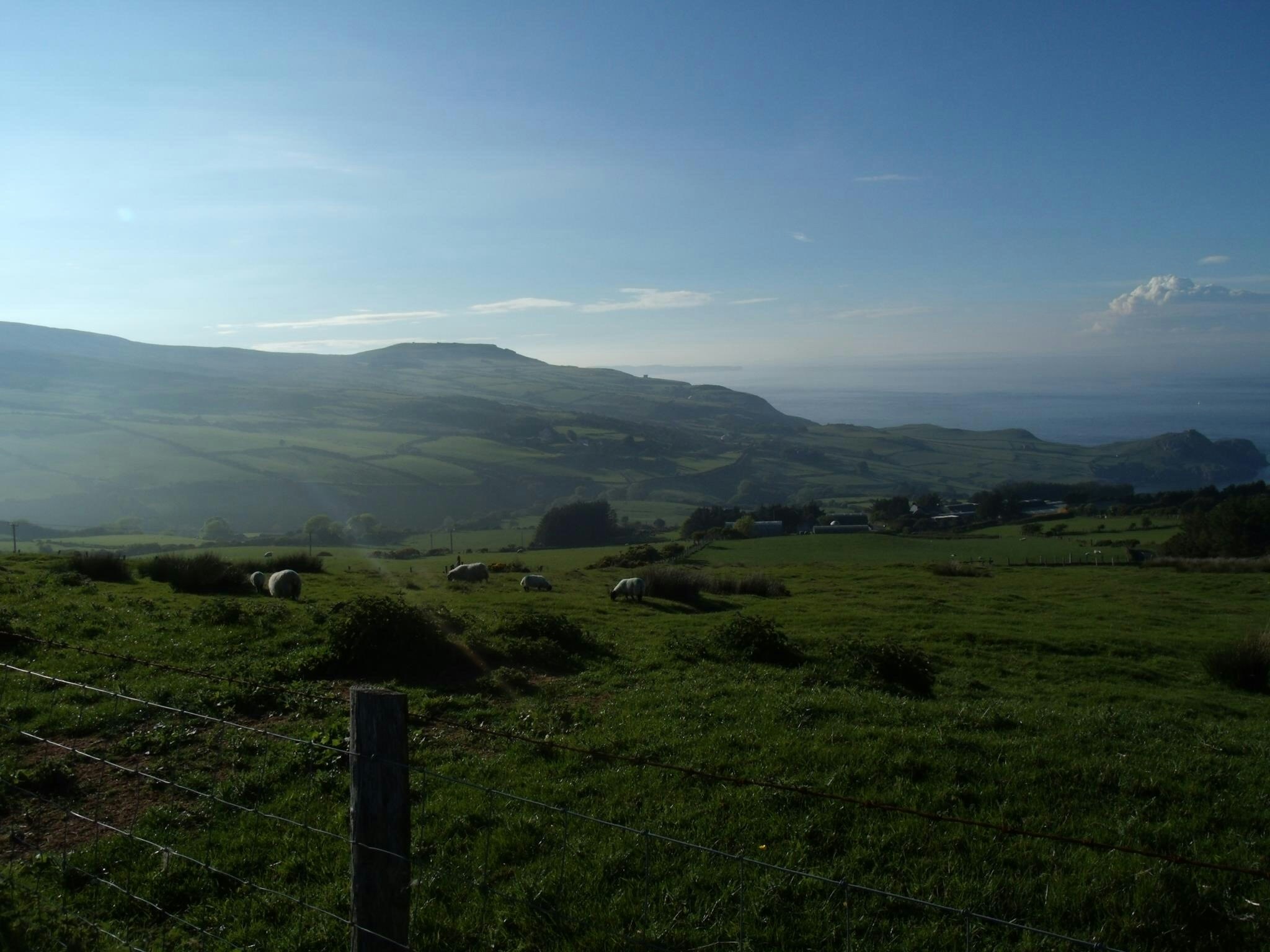 Free Unsplash photo from Ezekiel Boileau