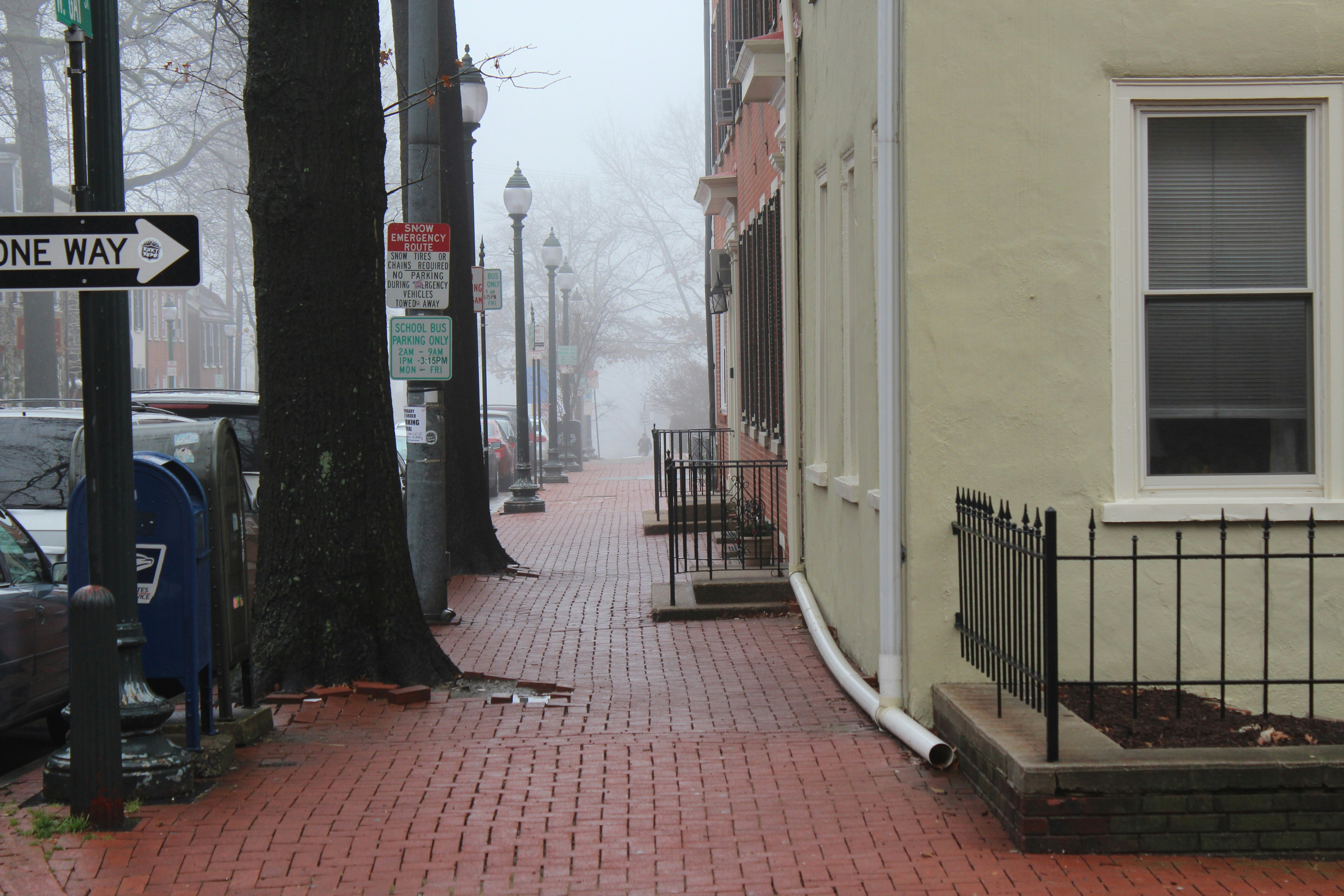 Free Unsplash photo from Ezekiel Boileau