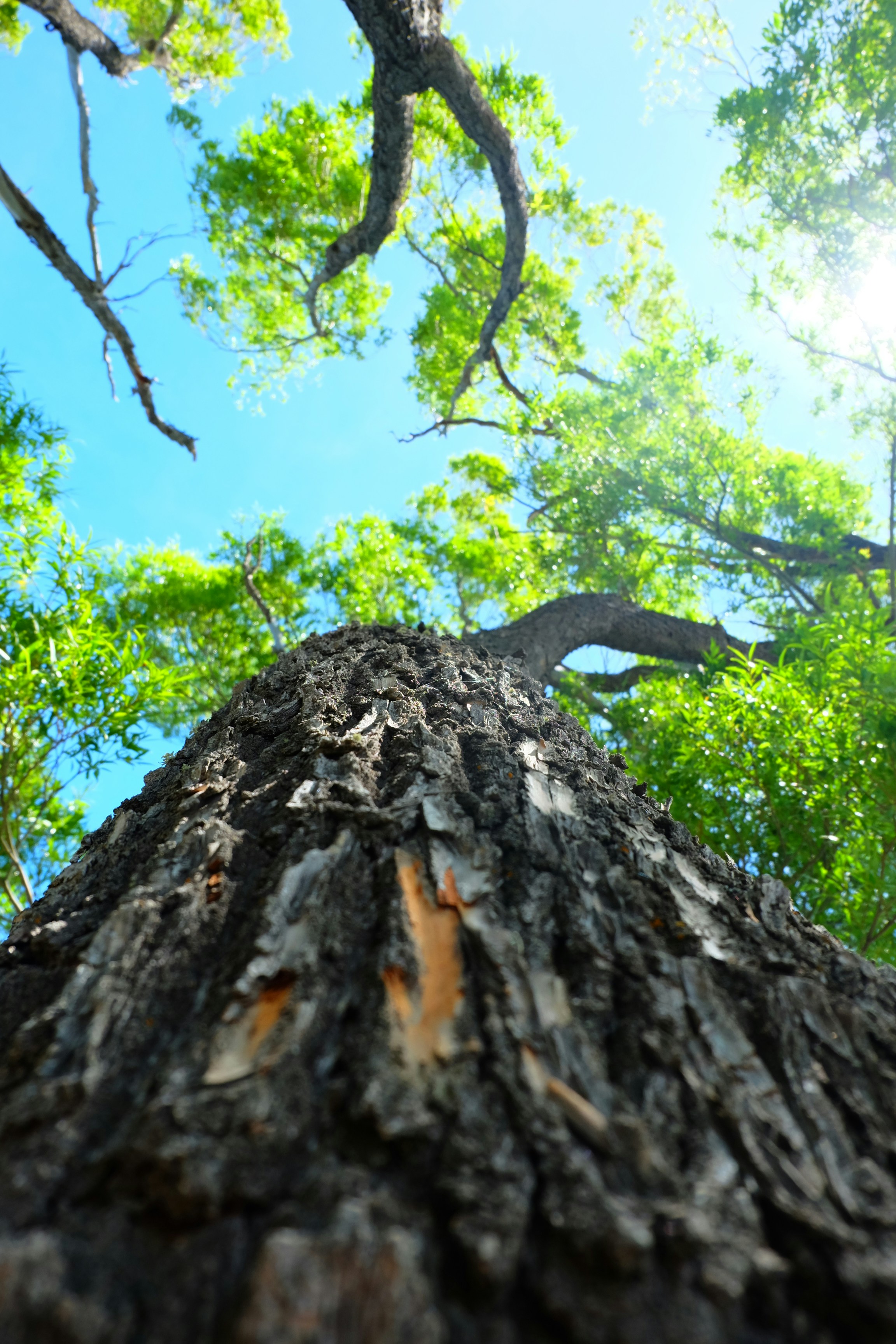 Free Unsplash photo from Eric BARBEAU