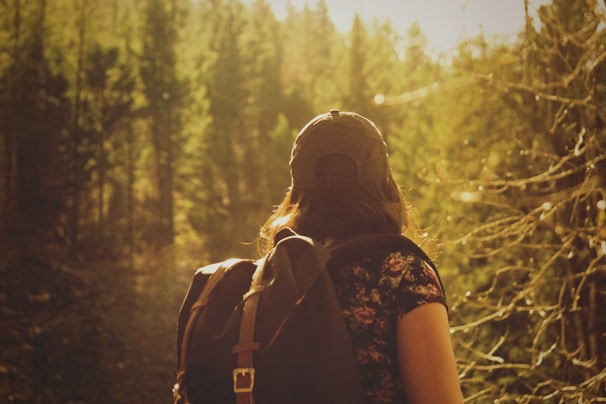 selective focus photography of woman between green pine trees with sun rays during daytime