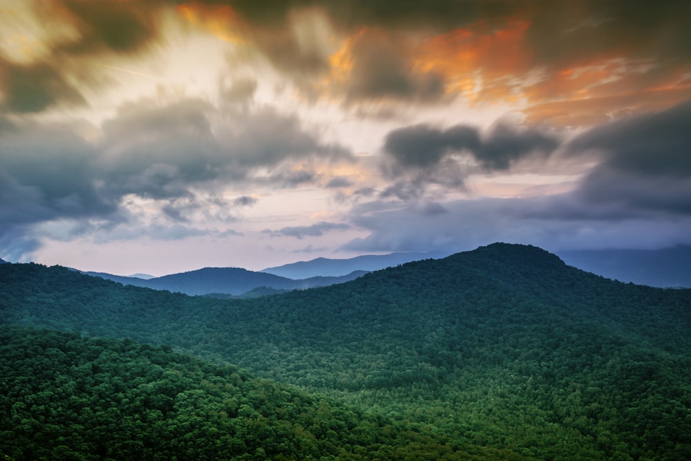 aerial photography of green leaves tree mountain view during daytime