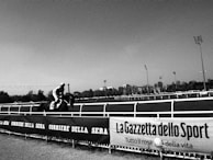 A horse and jockey race along a track, captured in black and white. The scene is framed by advertising banners on the side, including names of newspapers. A cityscape and trees are visible in the background under a clear sky.