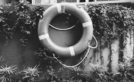 A life preserver is attached to a textured wall covered with climbing plants and vines, creating a natural and slightly overgrown appearance.
