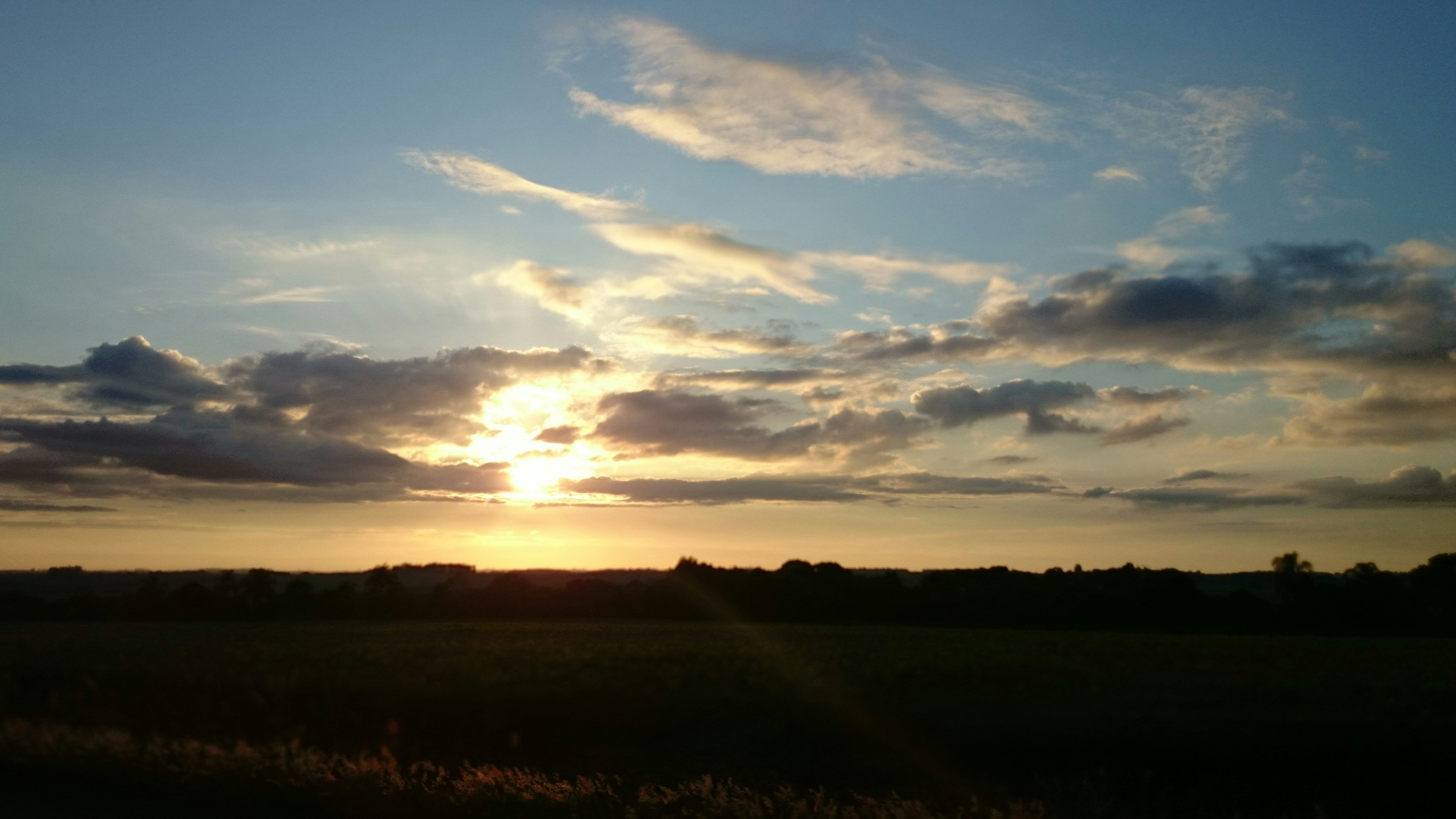 Free Unsplash photo from Carlos Eduardo Ceccon