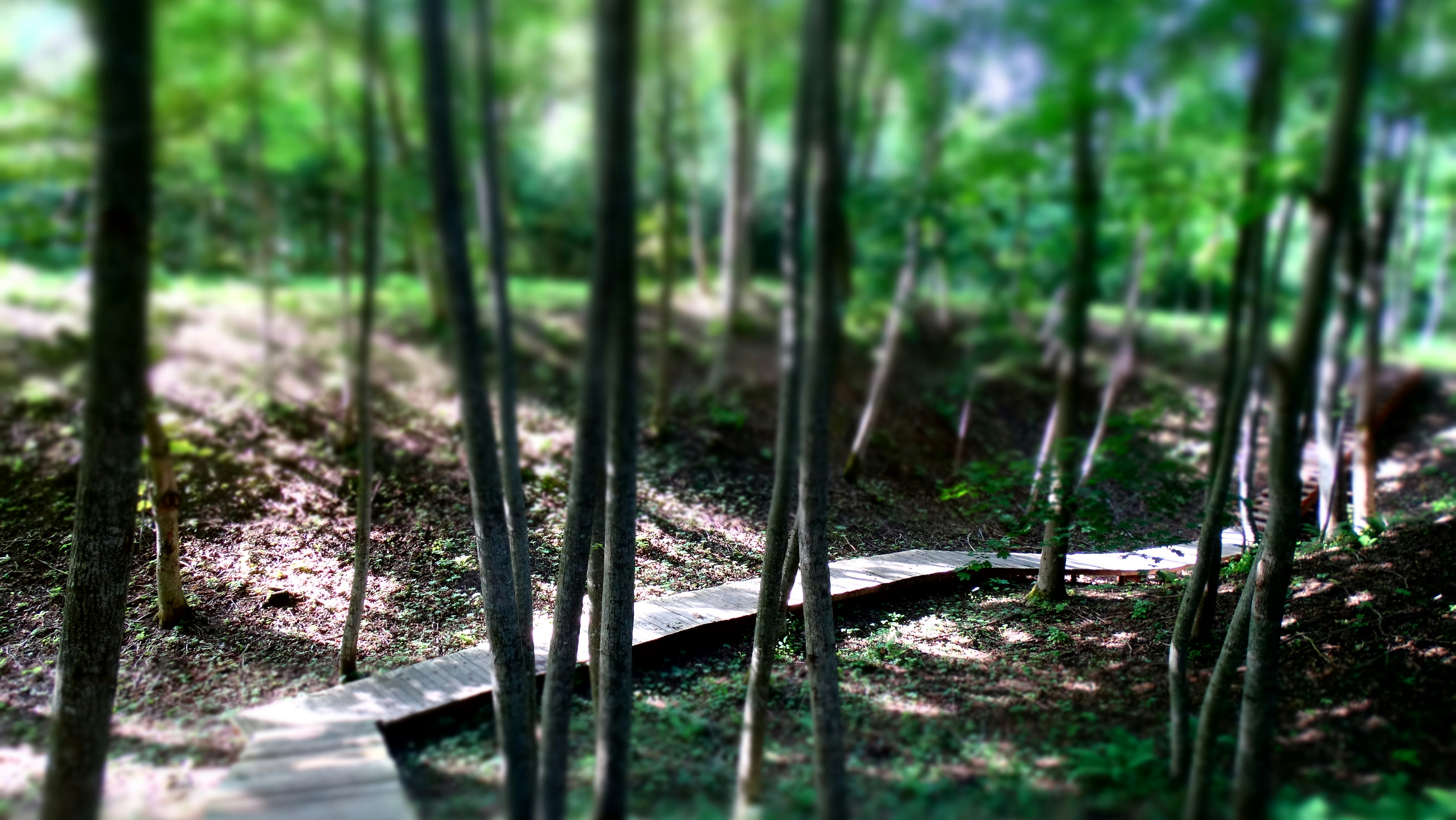 Free Unsplash photo from Ieva Barkute