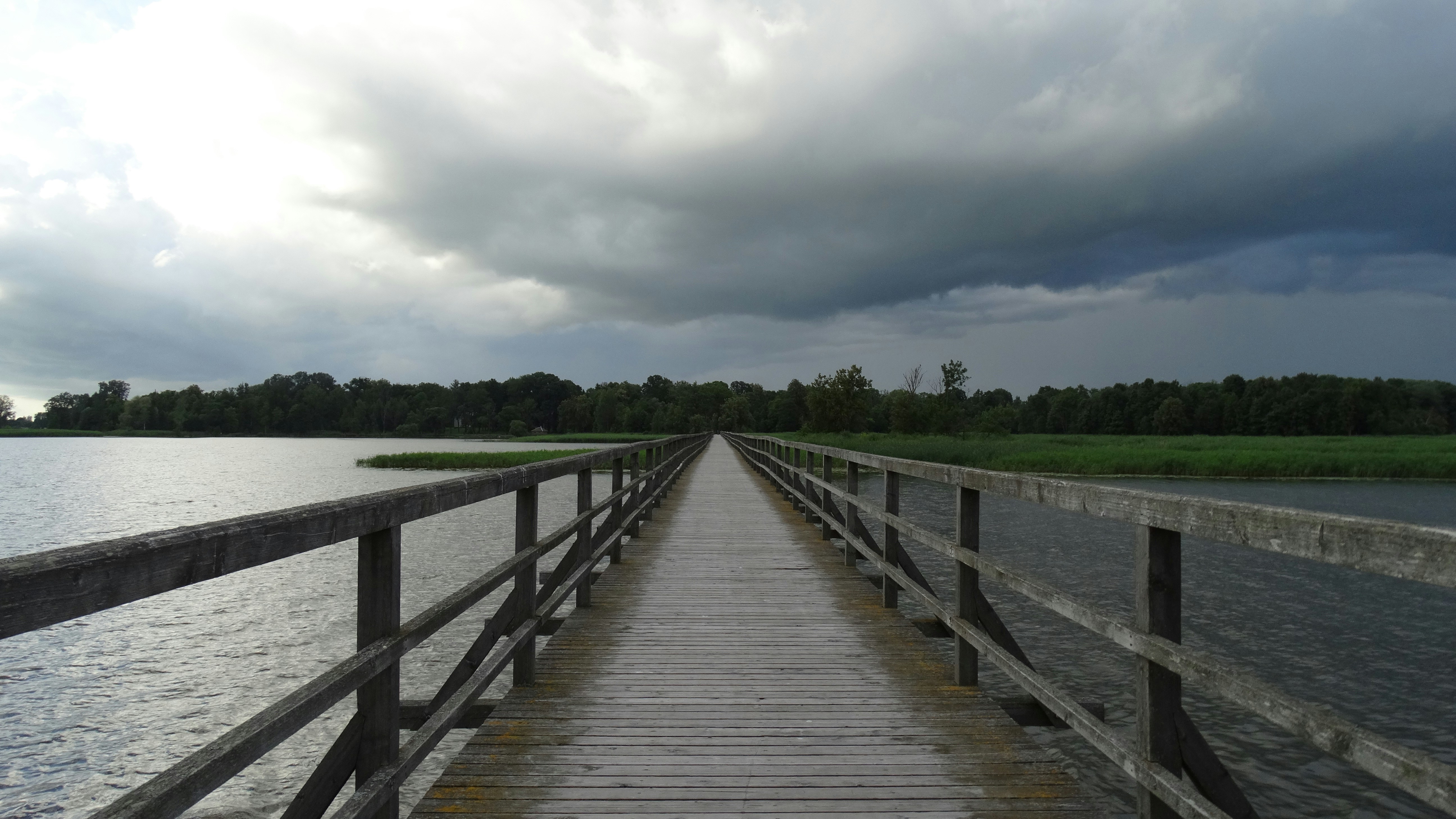 Free Unsplash photo from Ieva Barkute