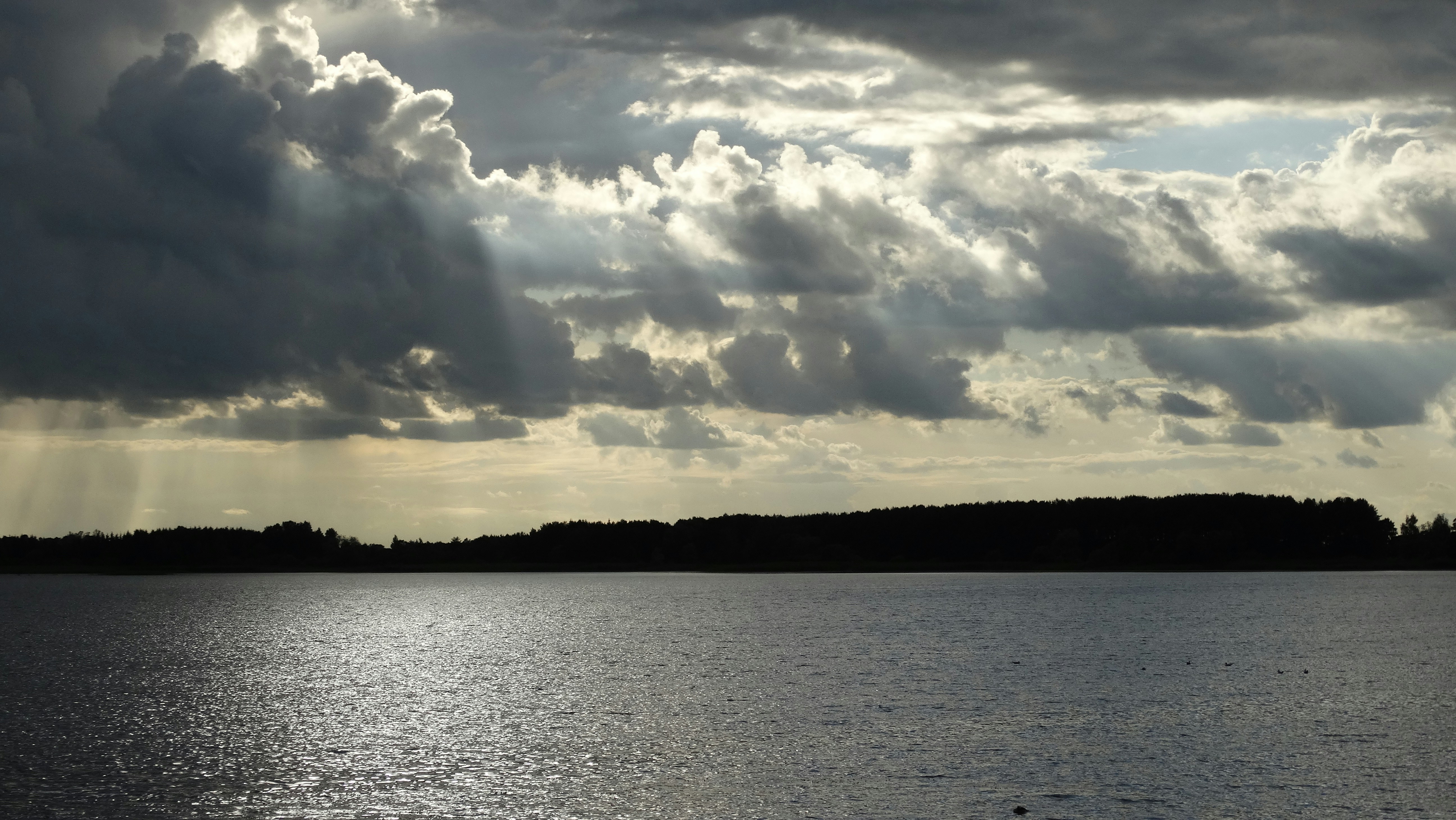 Free Unsplash photo from Ieva Barkute