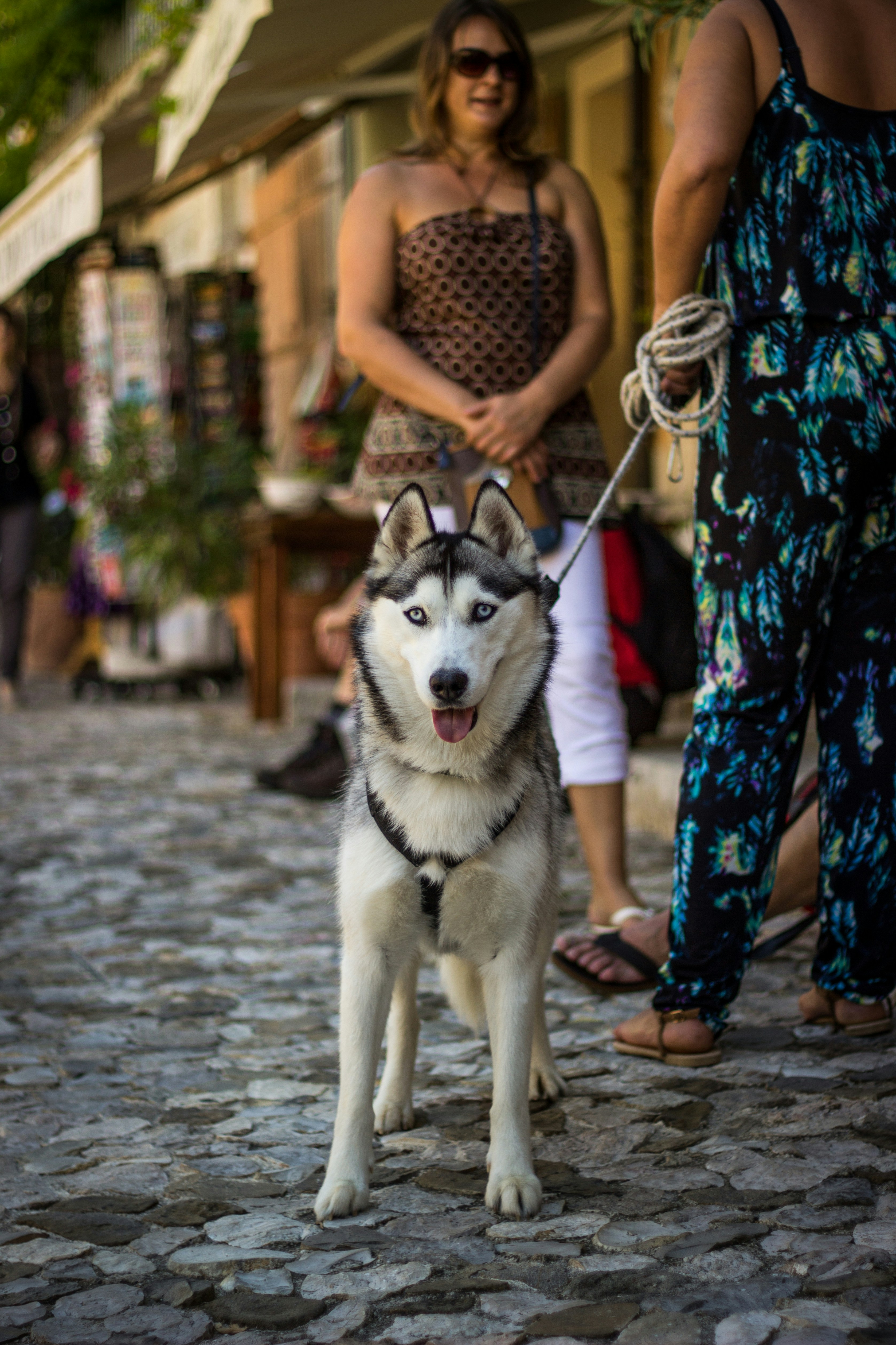 Free Unsplash photo from Noah Baslé