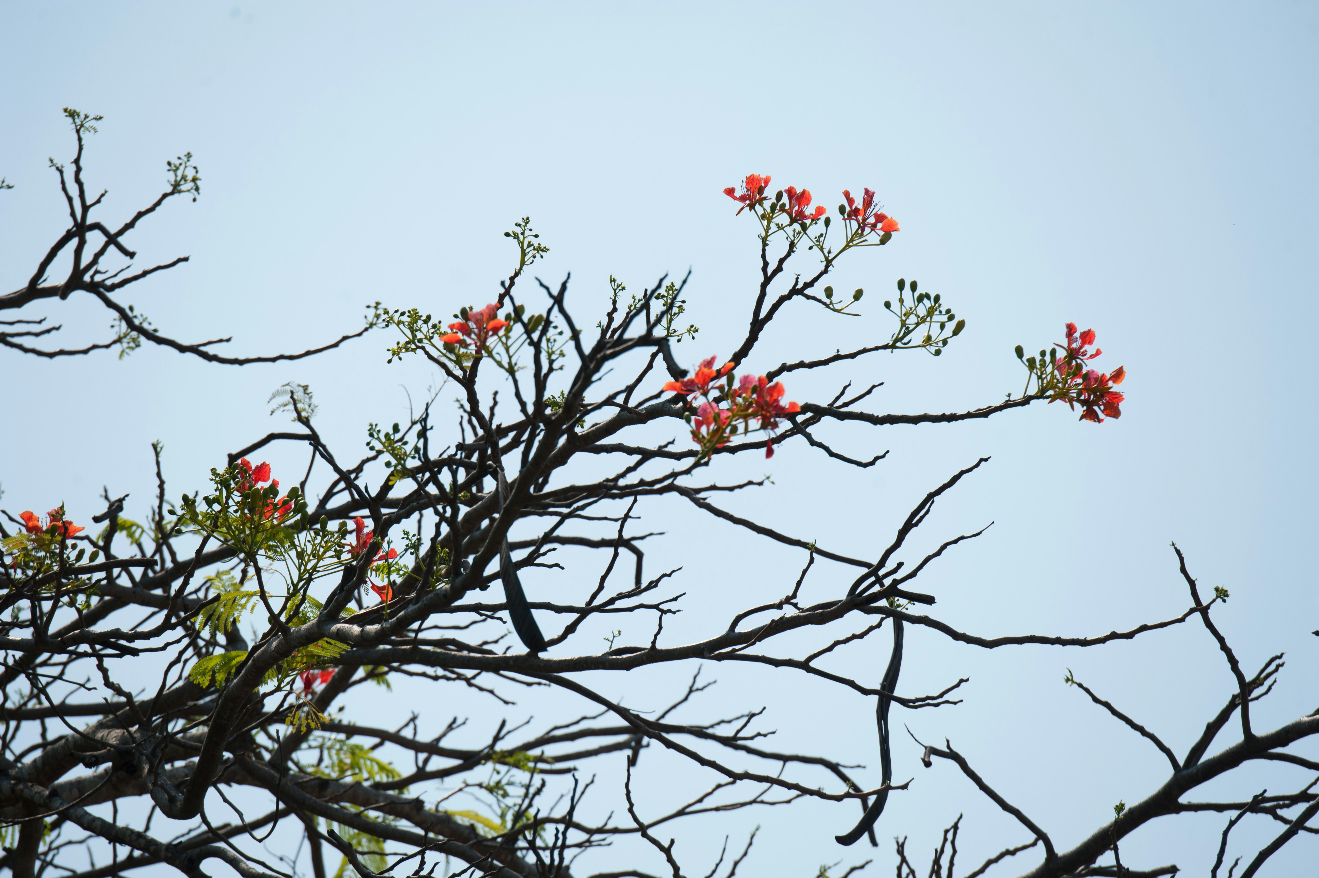 Free Unsplash photo from Moch Moch