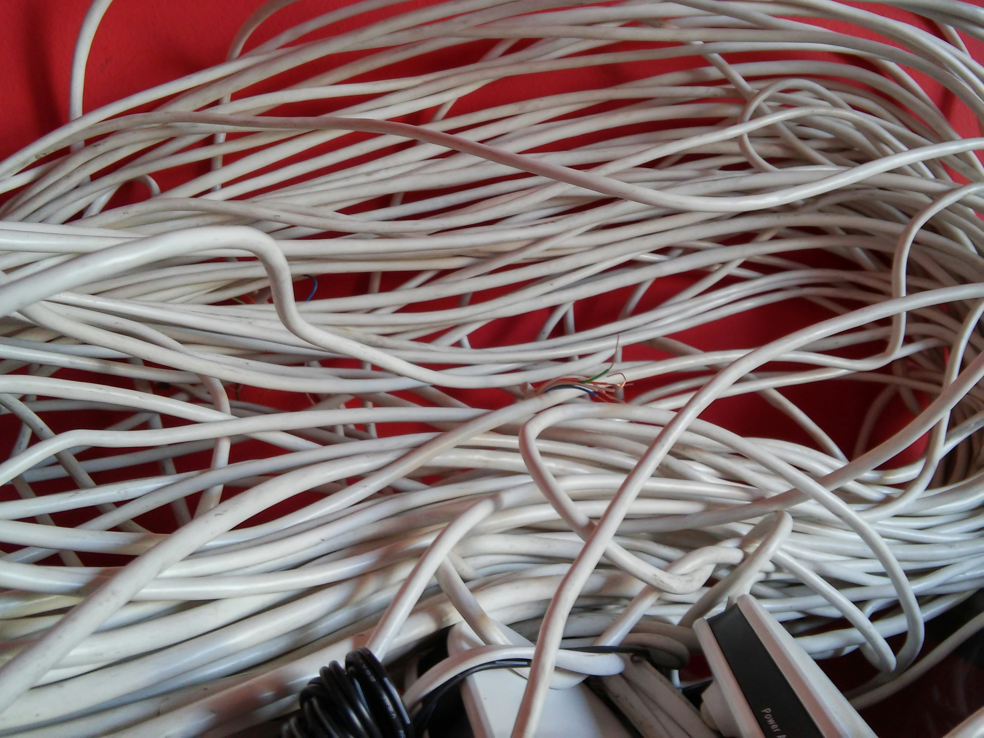 Free Unsplash photo from Grzegorz Wiktorowski