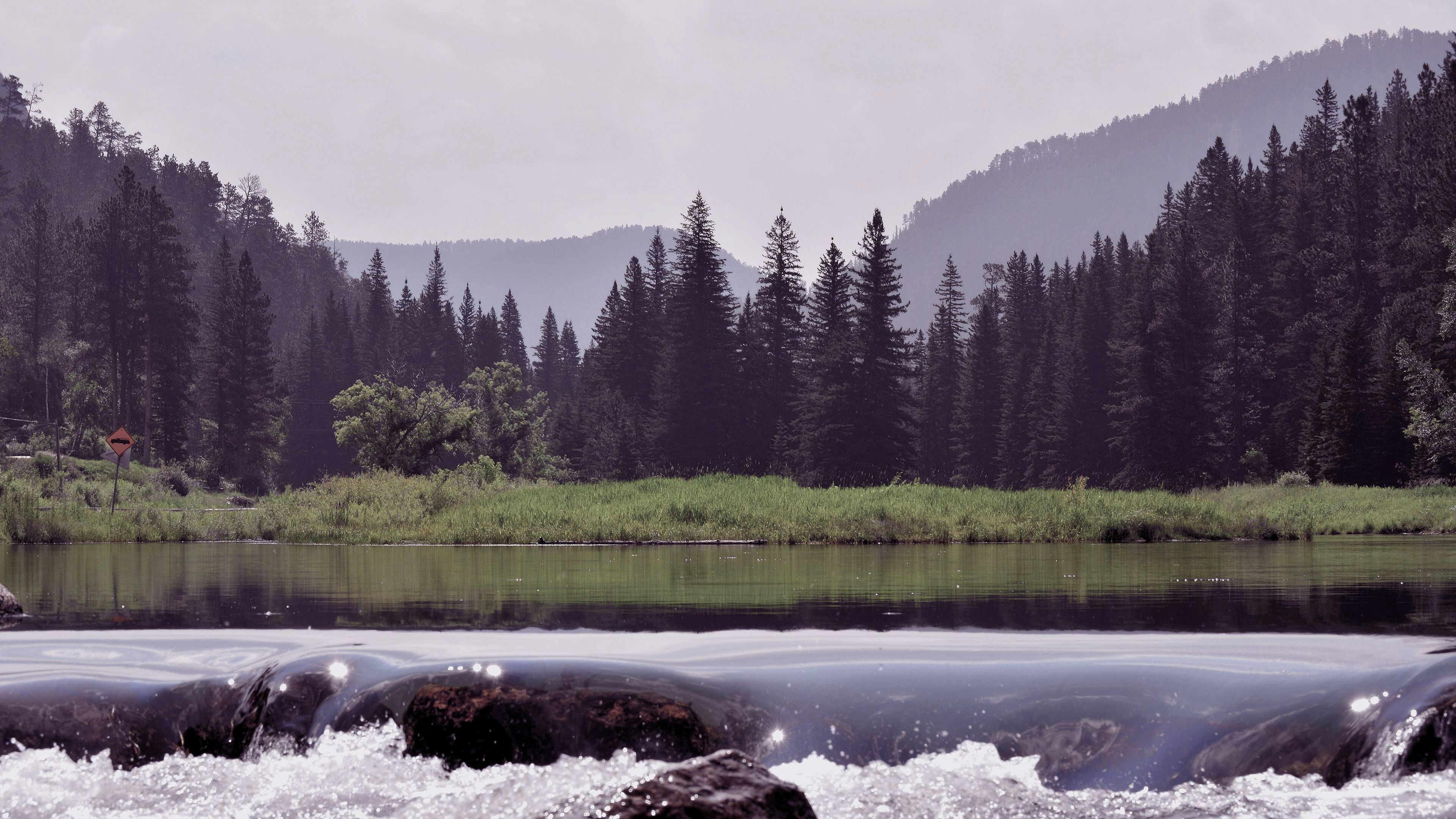 wilderness at daytime