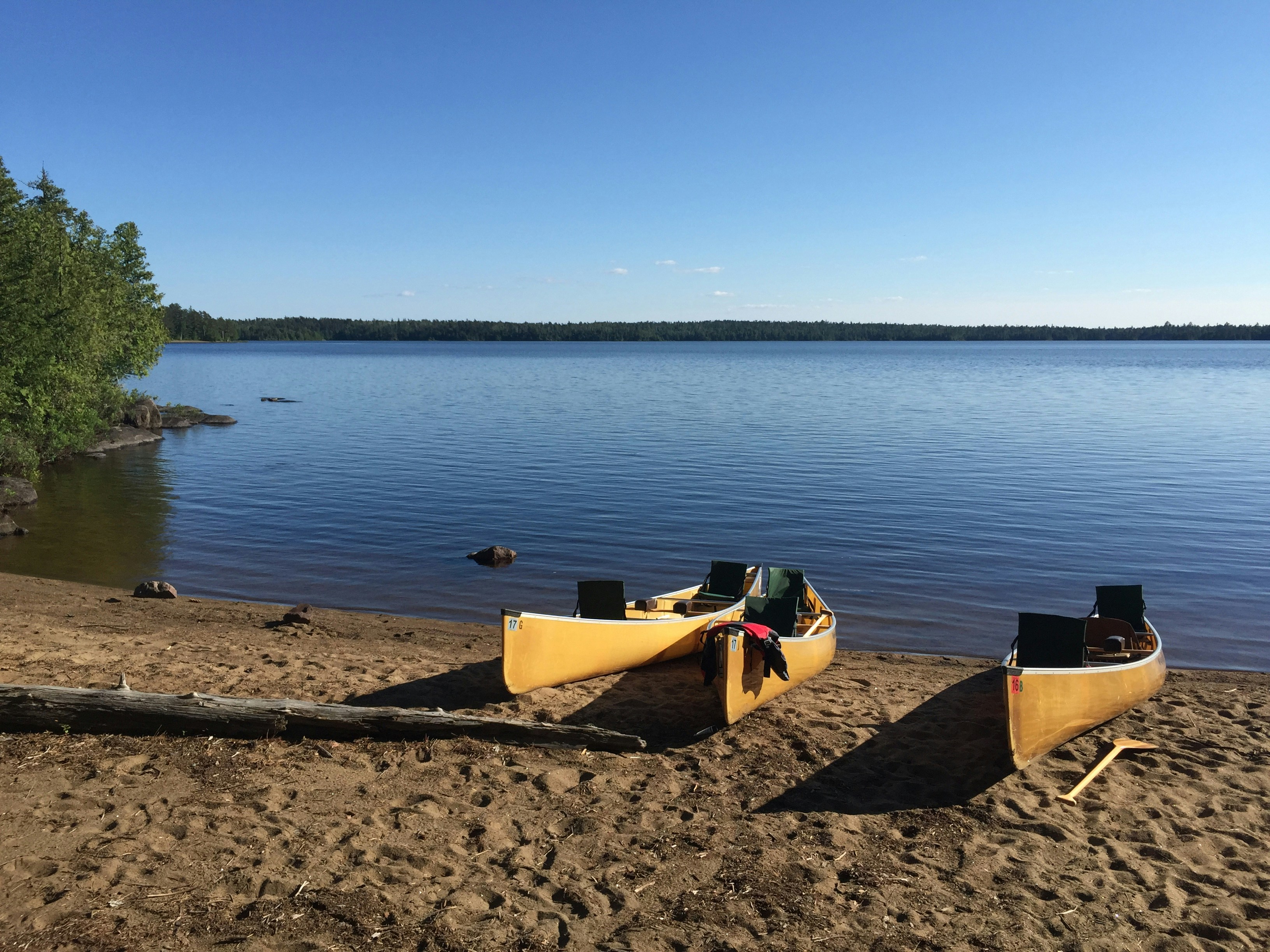 Free Unsplash photo from Kirby Crider