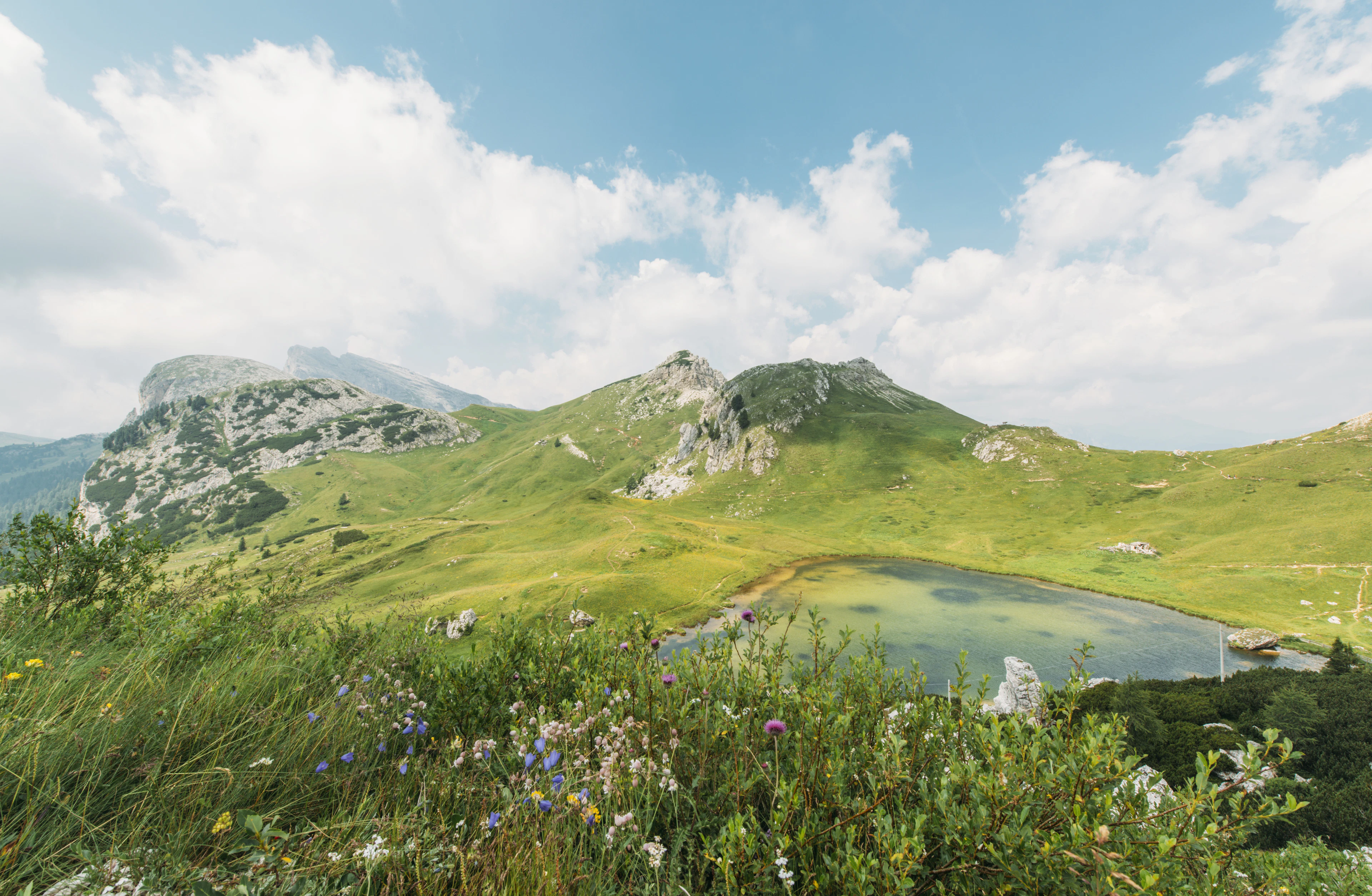 Lunete și optică de precizie — Optic House Transilvania