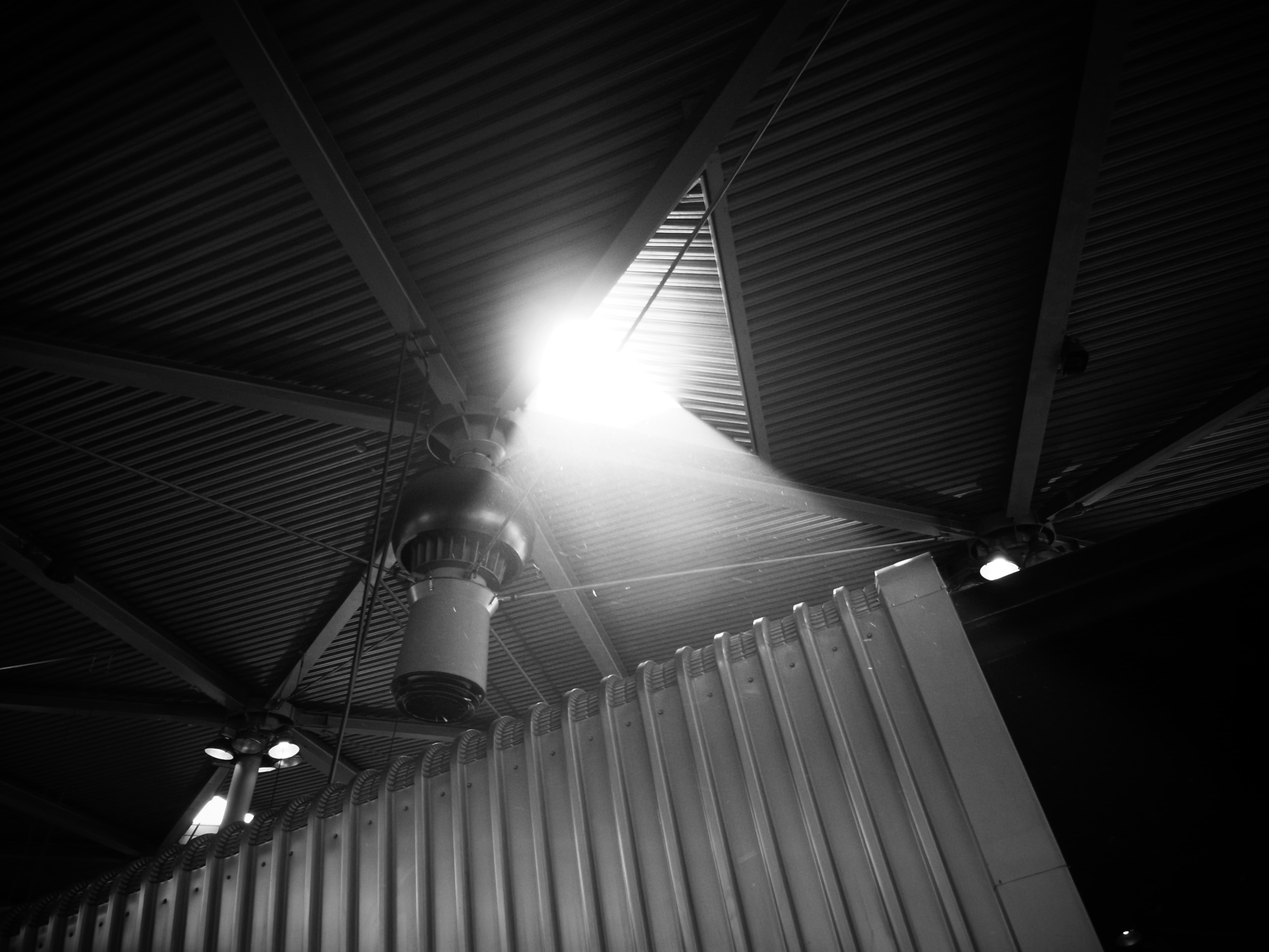 Free Unsplash photo from Yen Y Lin