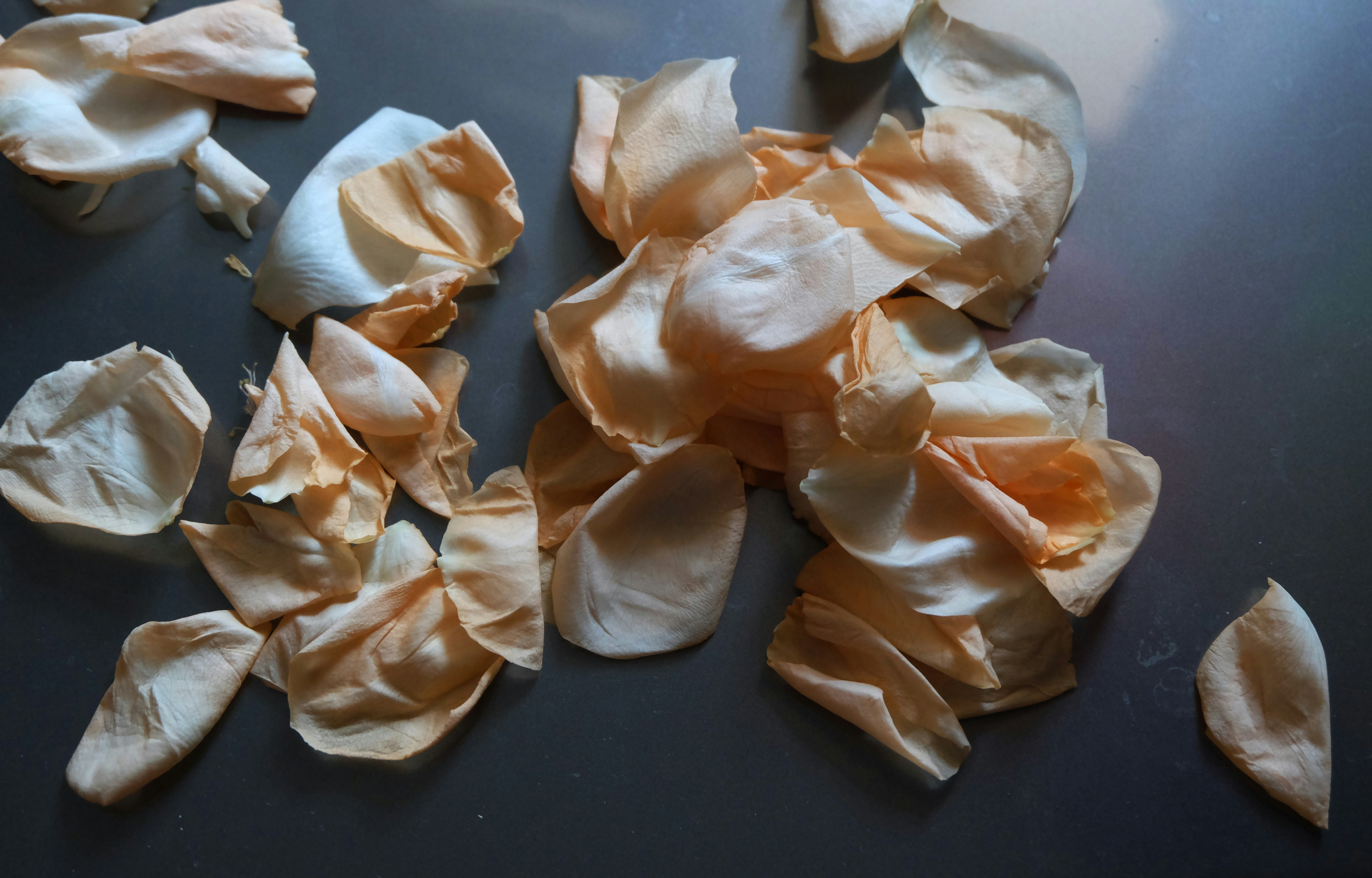 Free Unsplash photo from Pasha Gryniuk