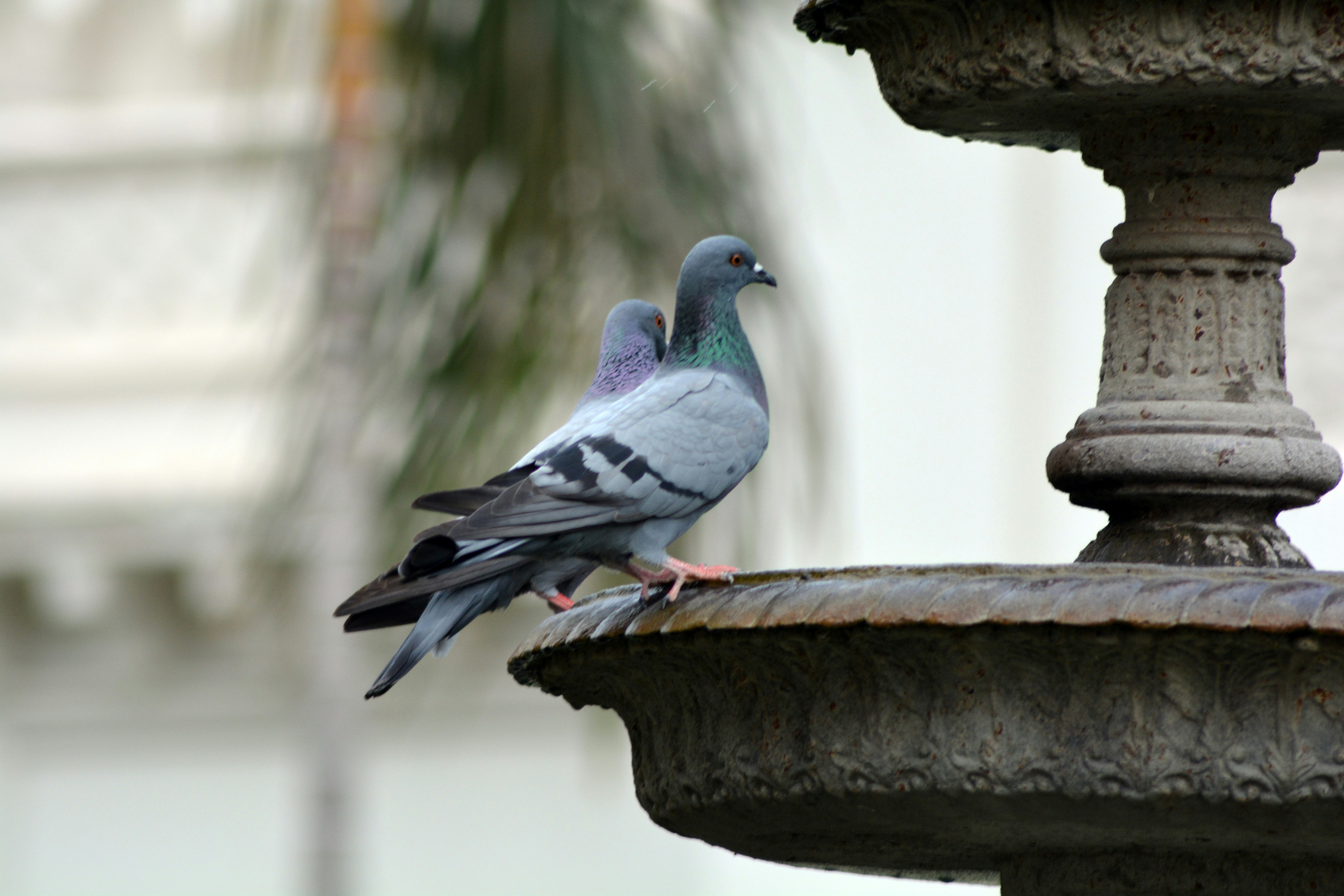 Free Unsplash photo from free photos